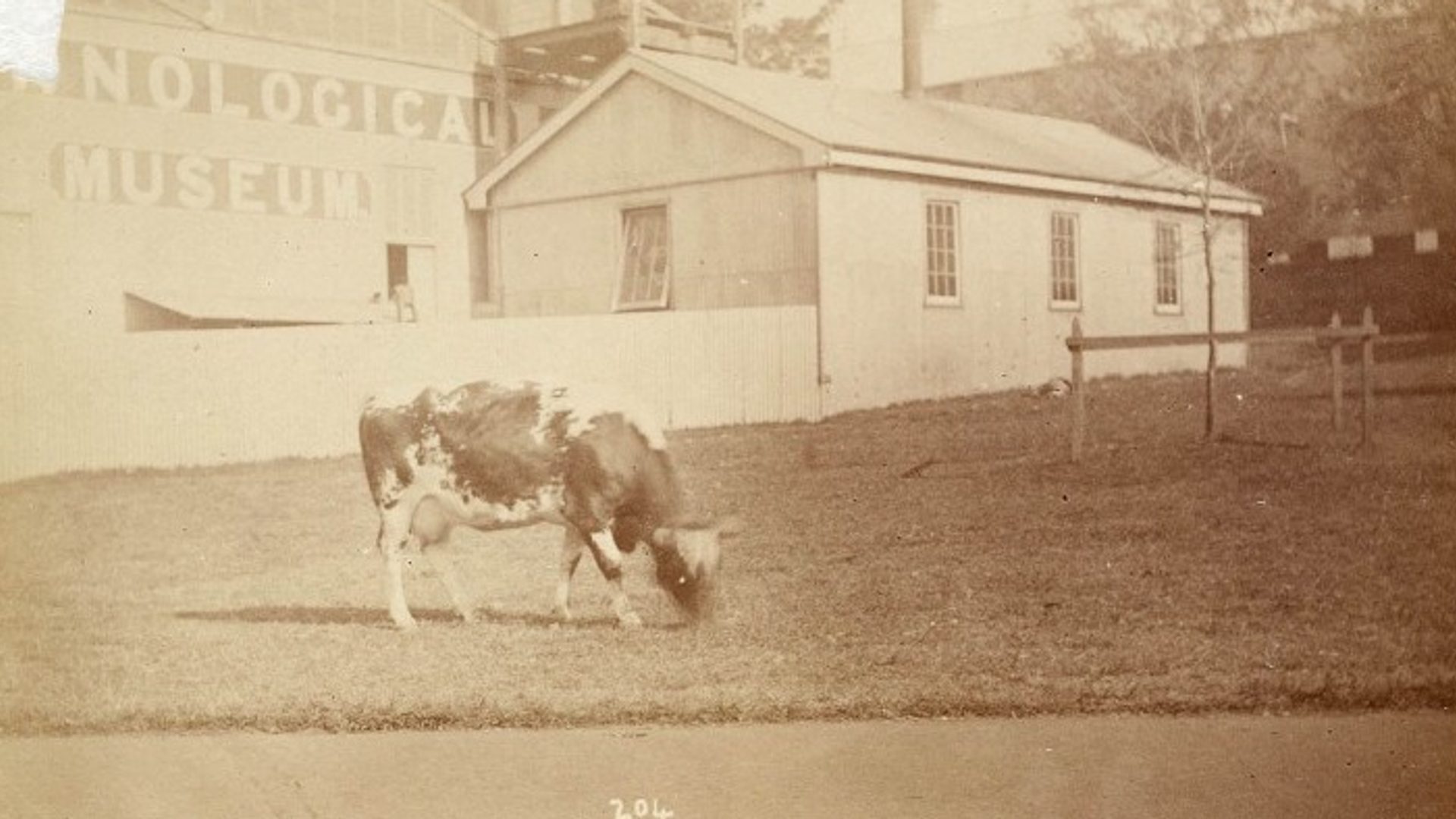 The Holding Pen