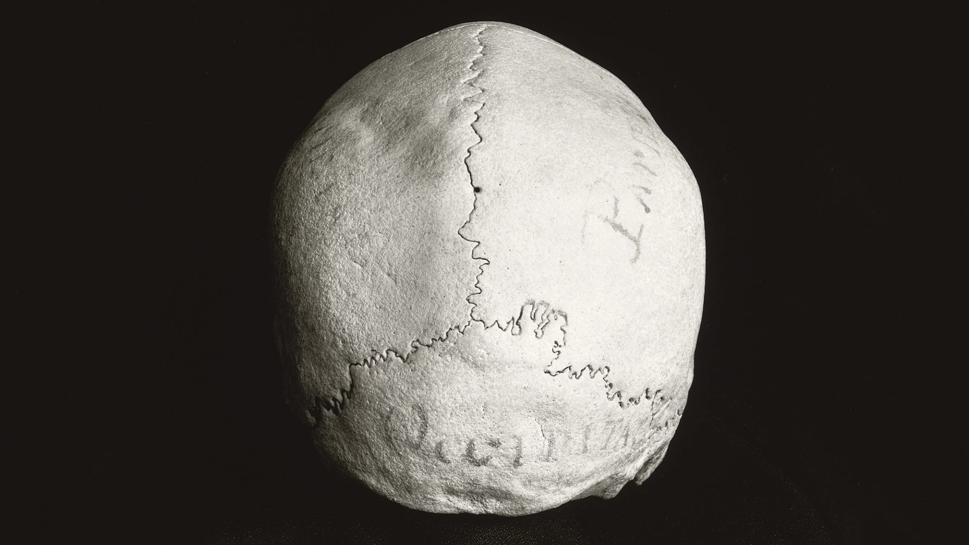 Human skull with writing on it