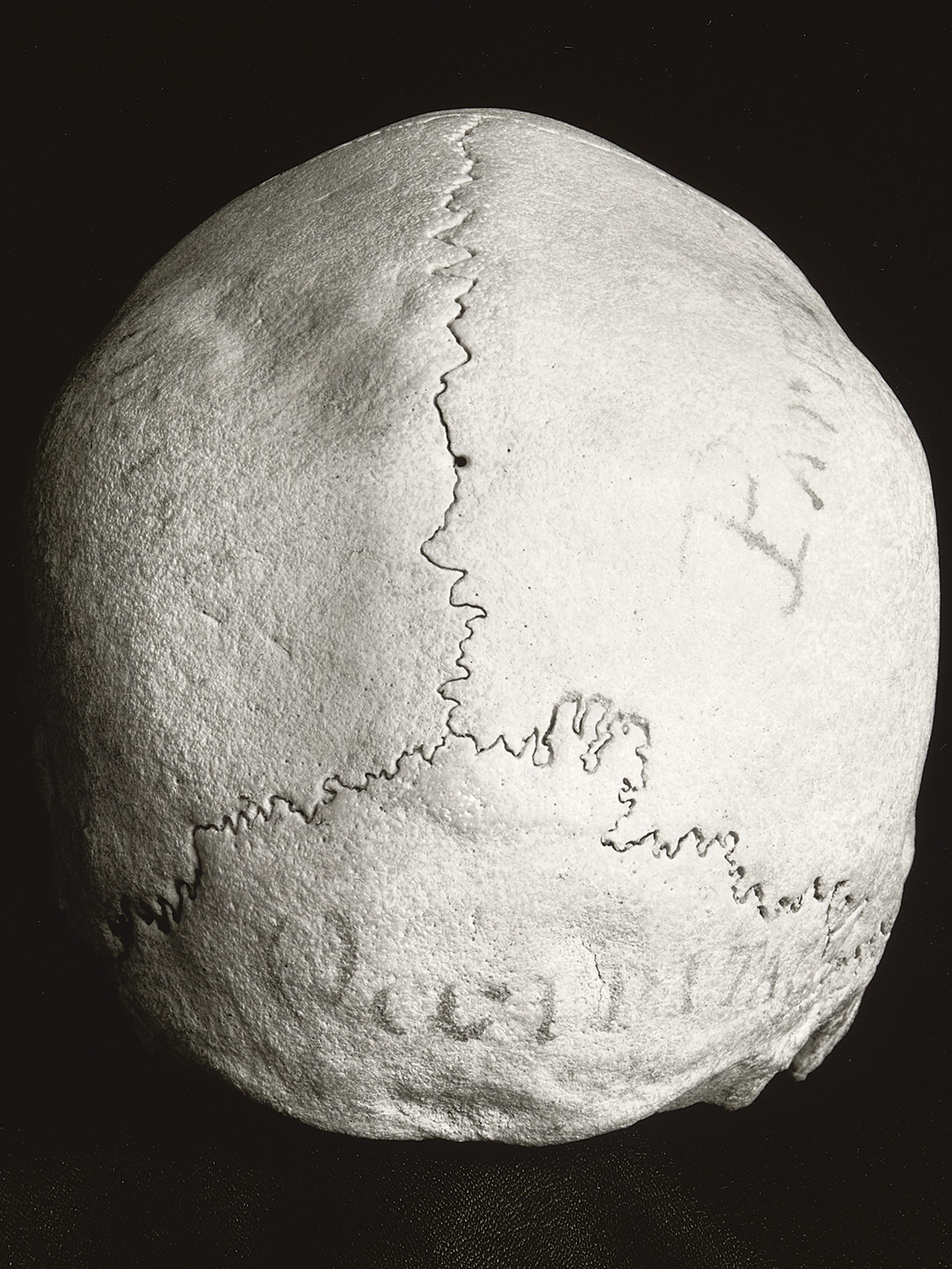 Human skull with writing on it