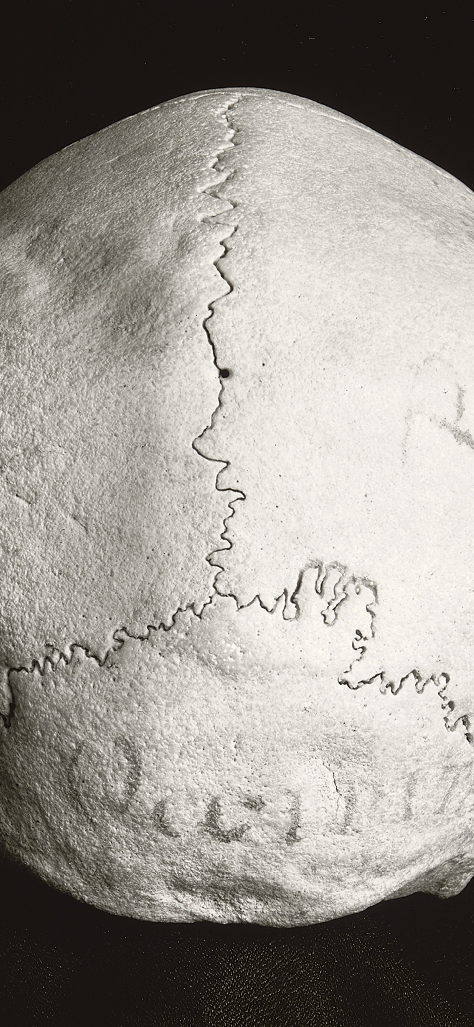 Mapping the Human Brain