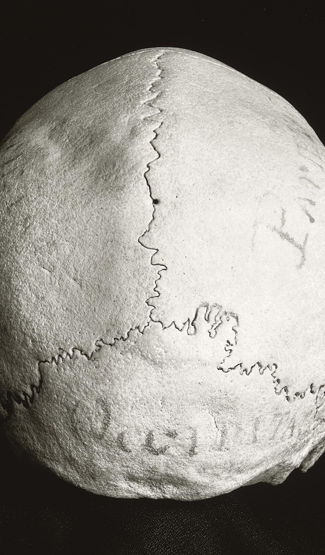 Human skull with writing on it