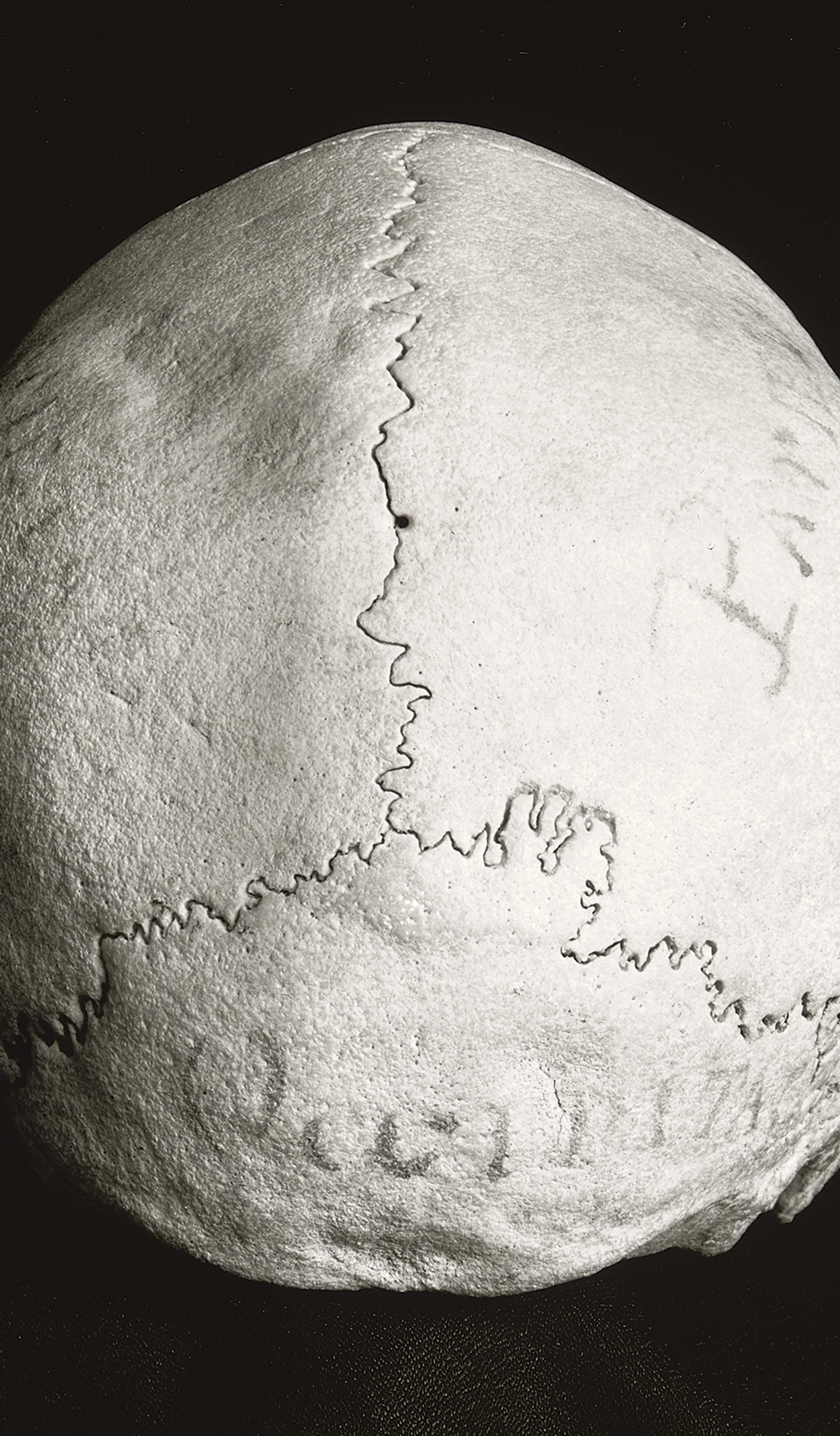 Human skull with writing on it