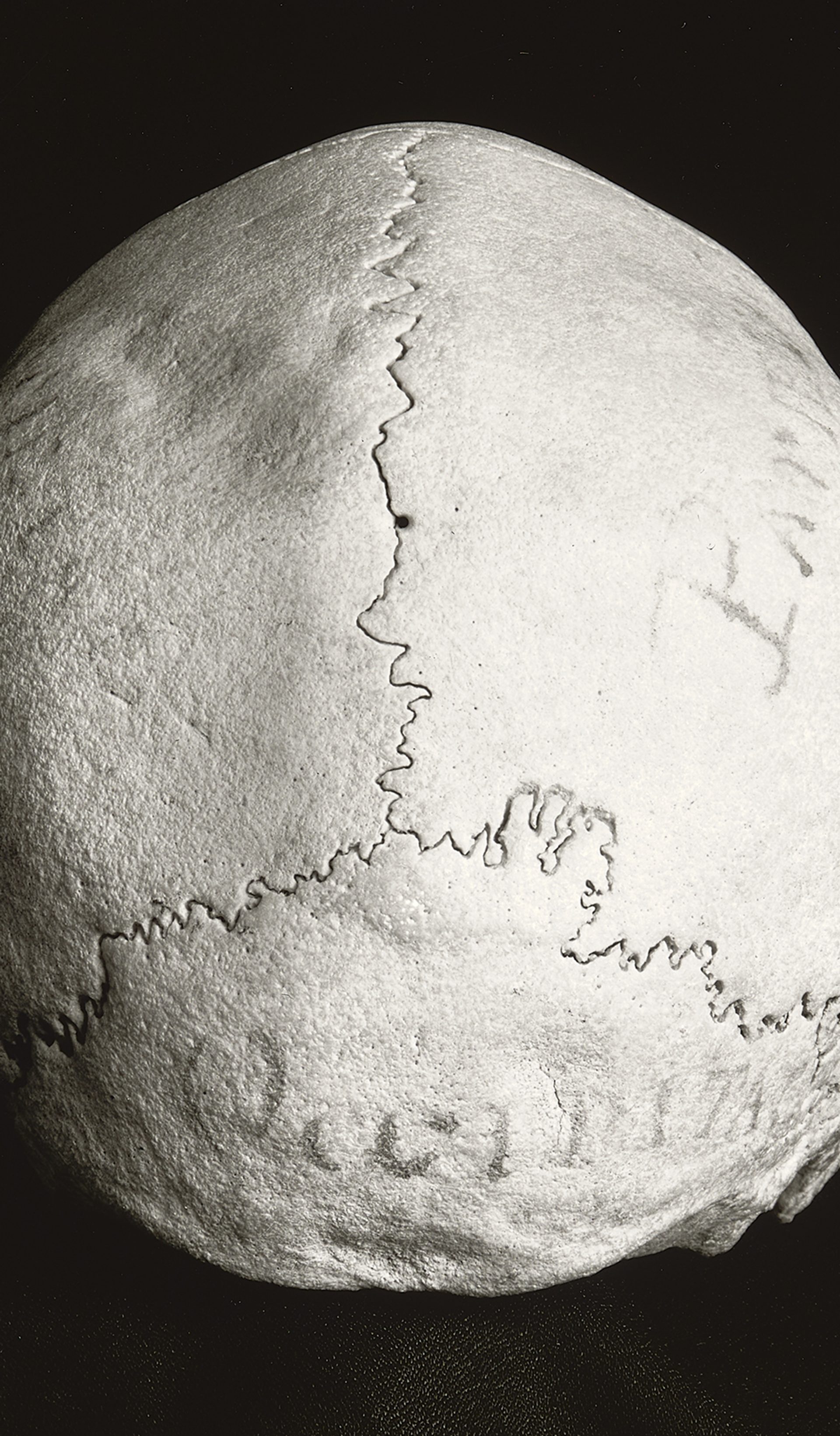Human skull with writing on it
