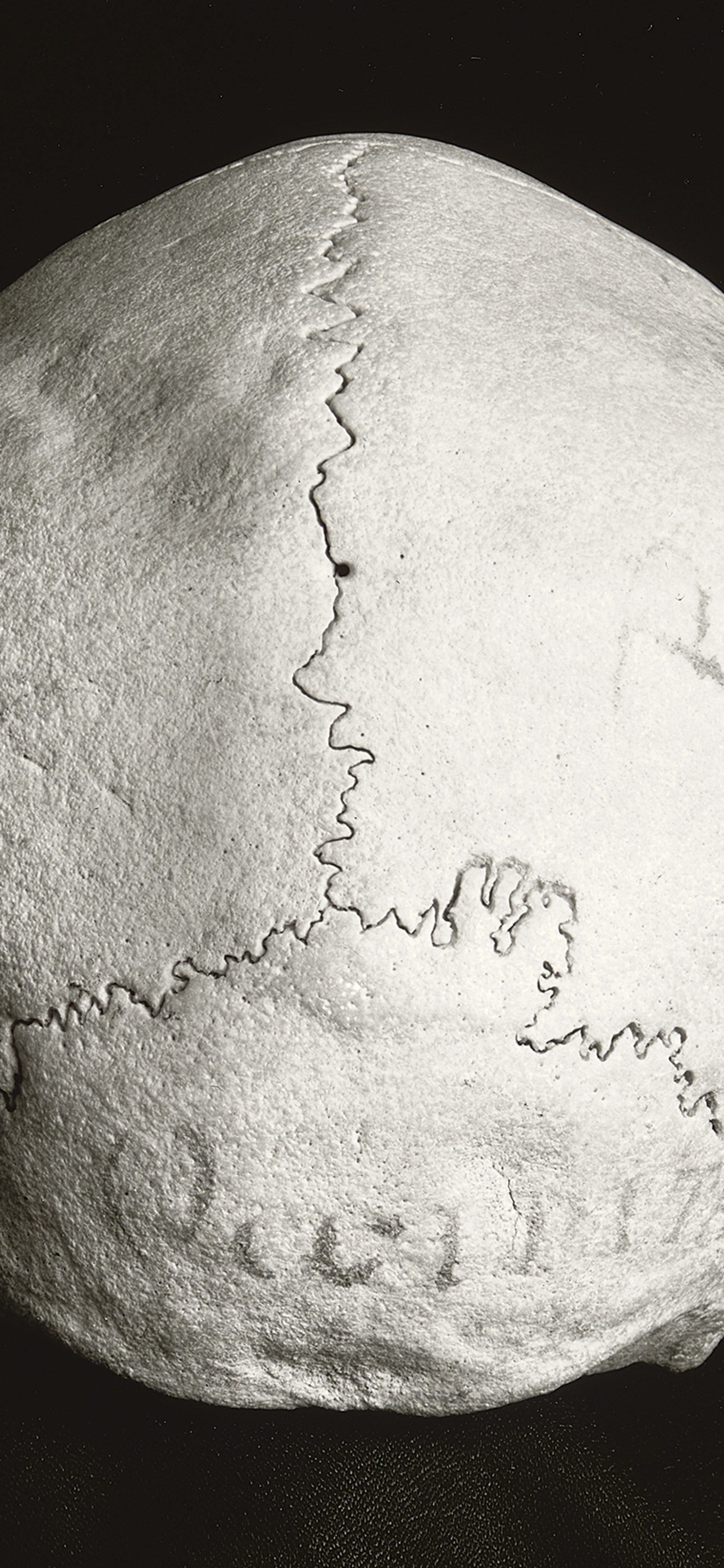 Mapping the Human Brain