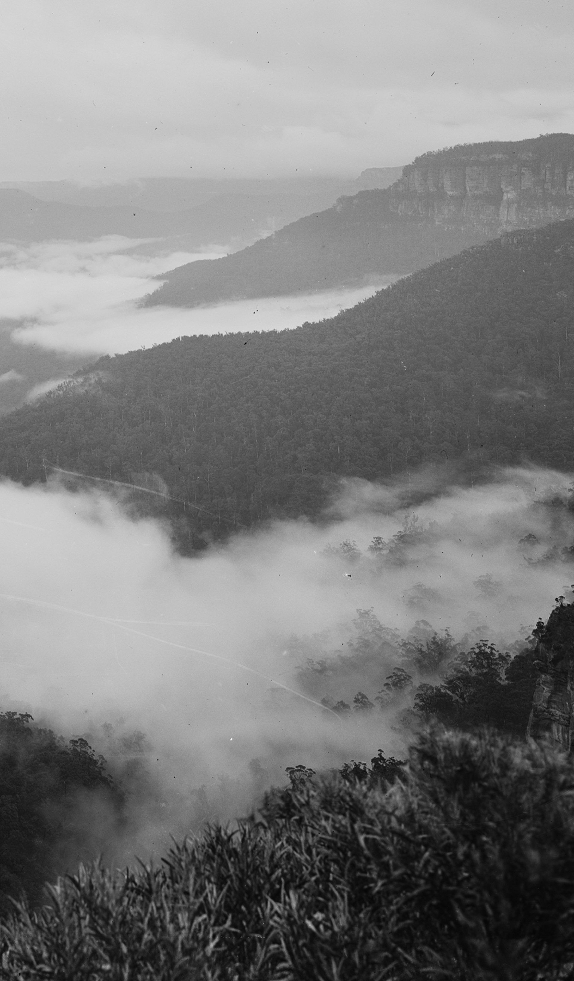 valley with rising mist