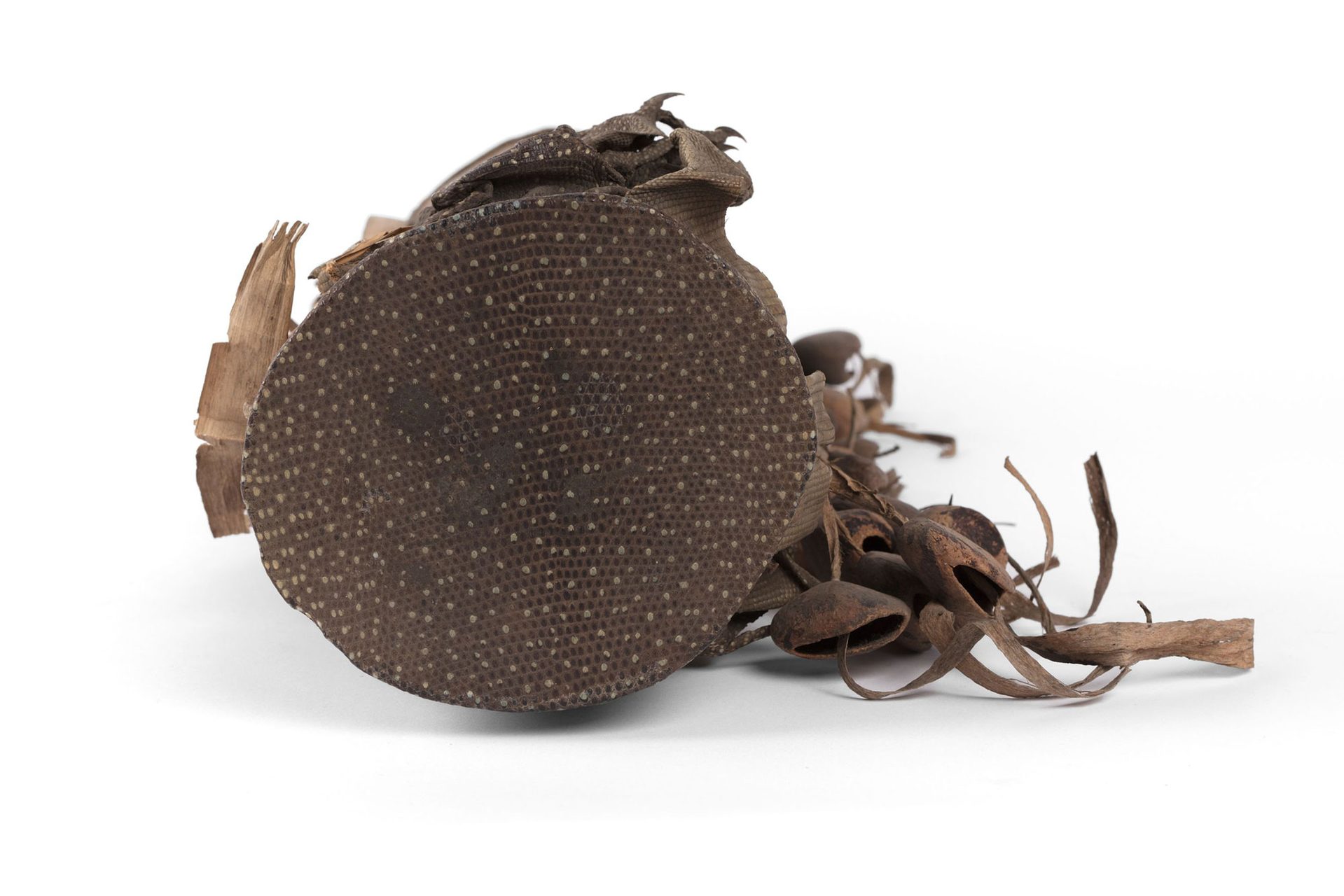 A small brown hand drum made with goanna skin and seed pods.