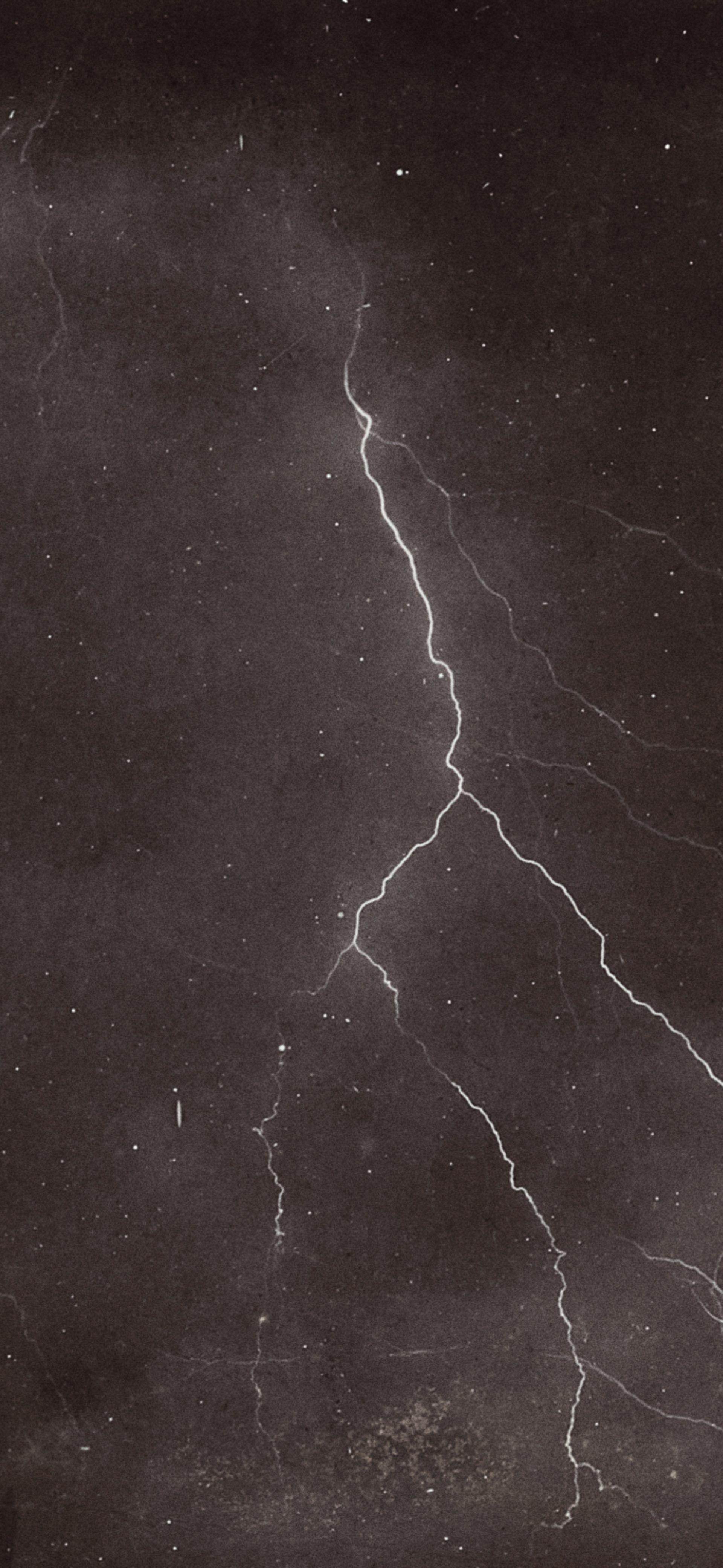 Sydney Observatory Late: Sky Connections