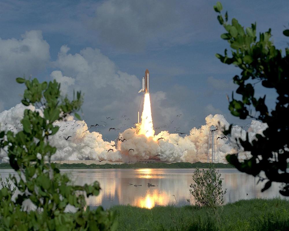 A rocket at lift-off viewed through trees on the left and right. The rocket leaves a large cloud behind it and birds are scattered.