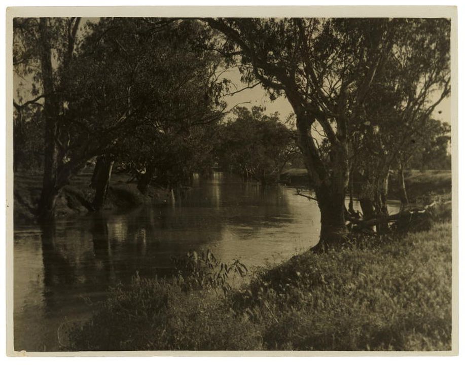 Black and white photographic print showing a river scene framed on the right by gum trees on each bank.