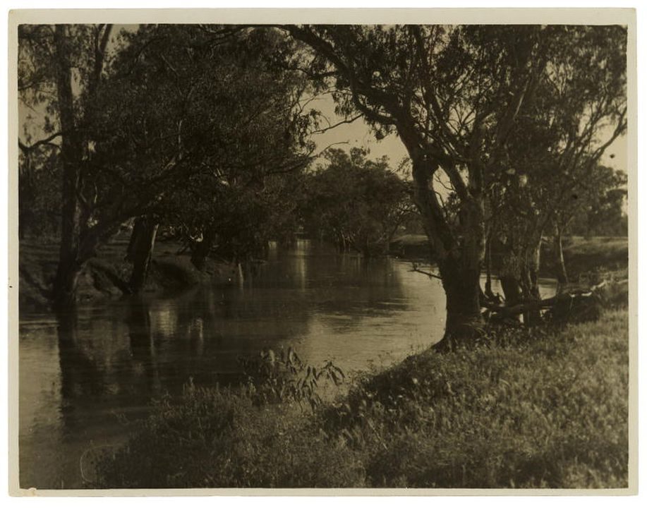 Black and white photographic print showing a river scene framed on the right by gum trees on each bank.