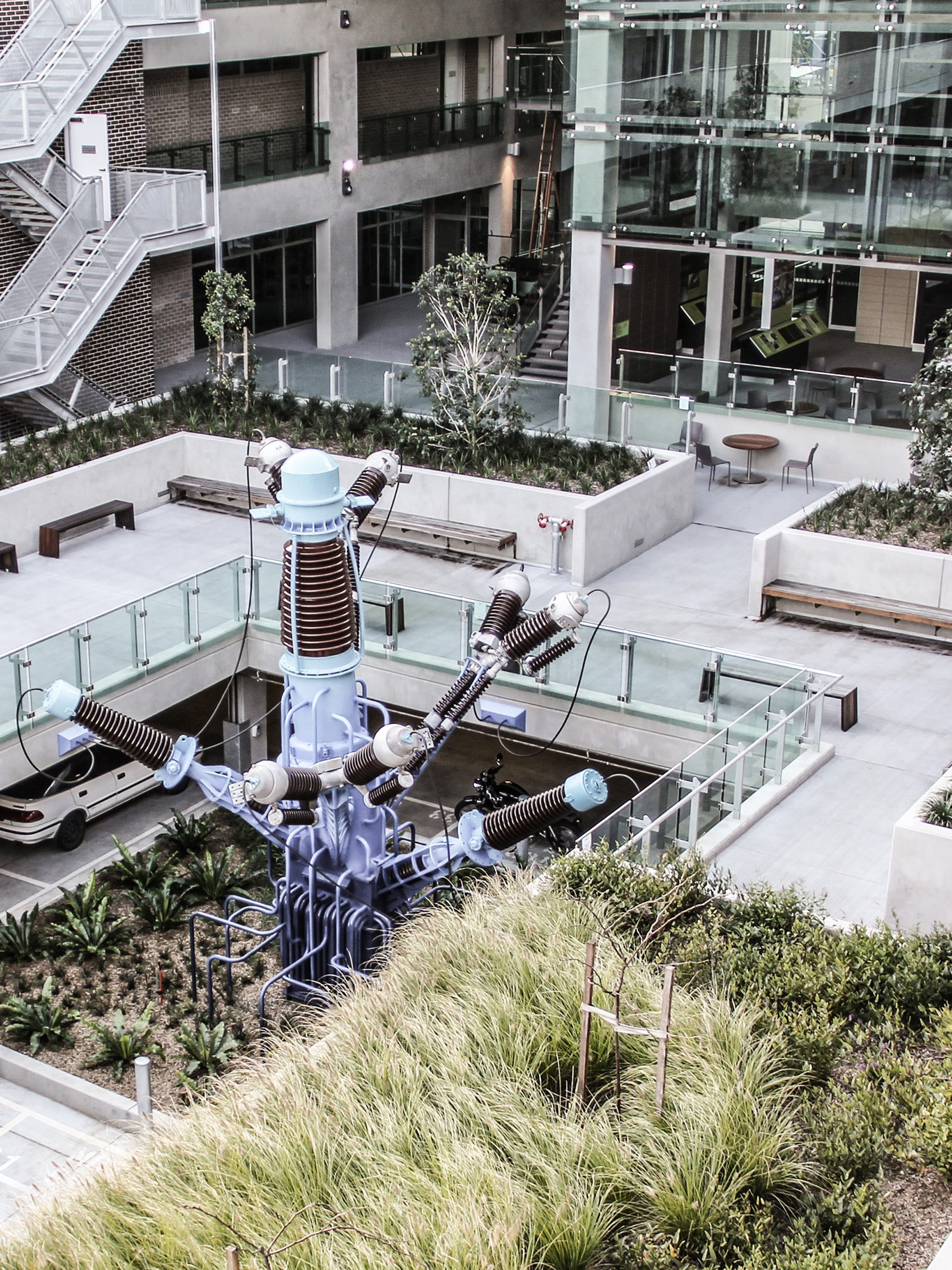 The courtyard of a building containing grasses, glass panels and a central sculpture.