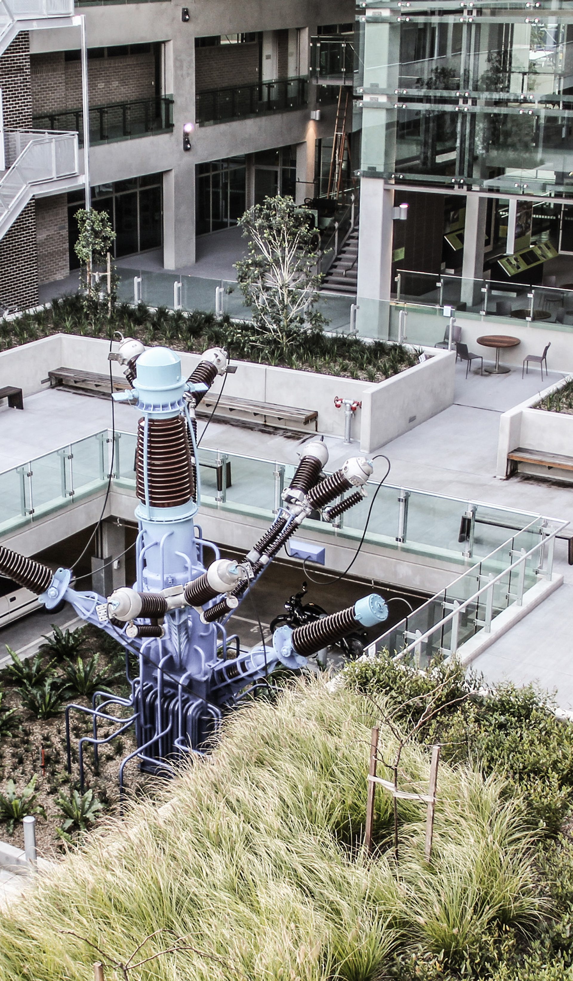 The courtyard of a building containing grasses, glass panels and a central sculpture.