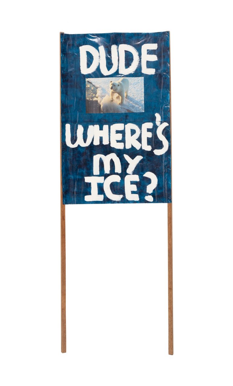 a dark blue background, with a photograph of a polar bear. The words 'Dude Where's My Ice' are painted in white paint.