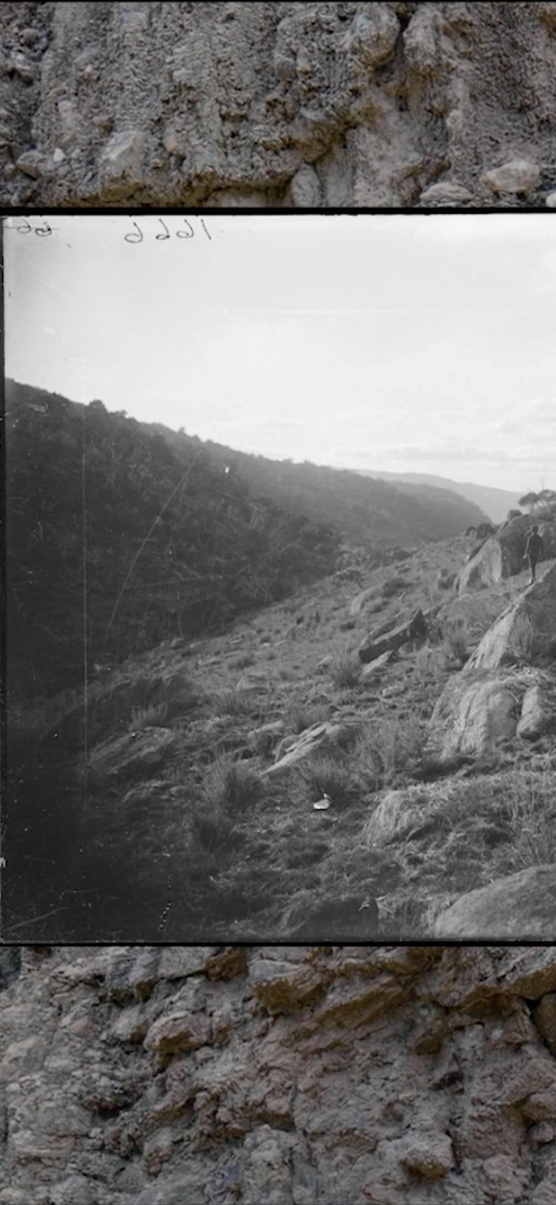 Diggermode: A film from ‘Australia’