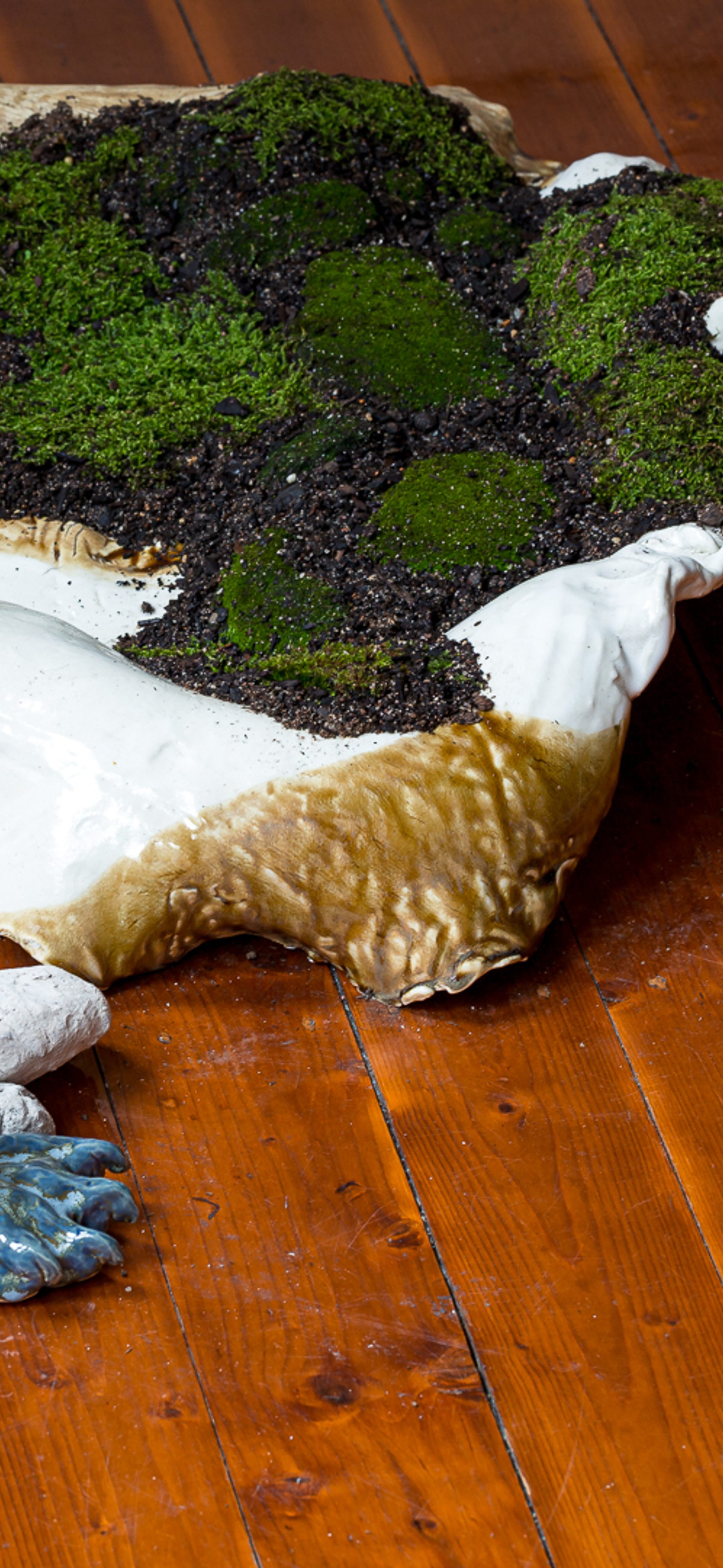 A shell like mound, of glazed raku sits on the floorboards filled with dirt and moss