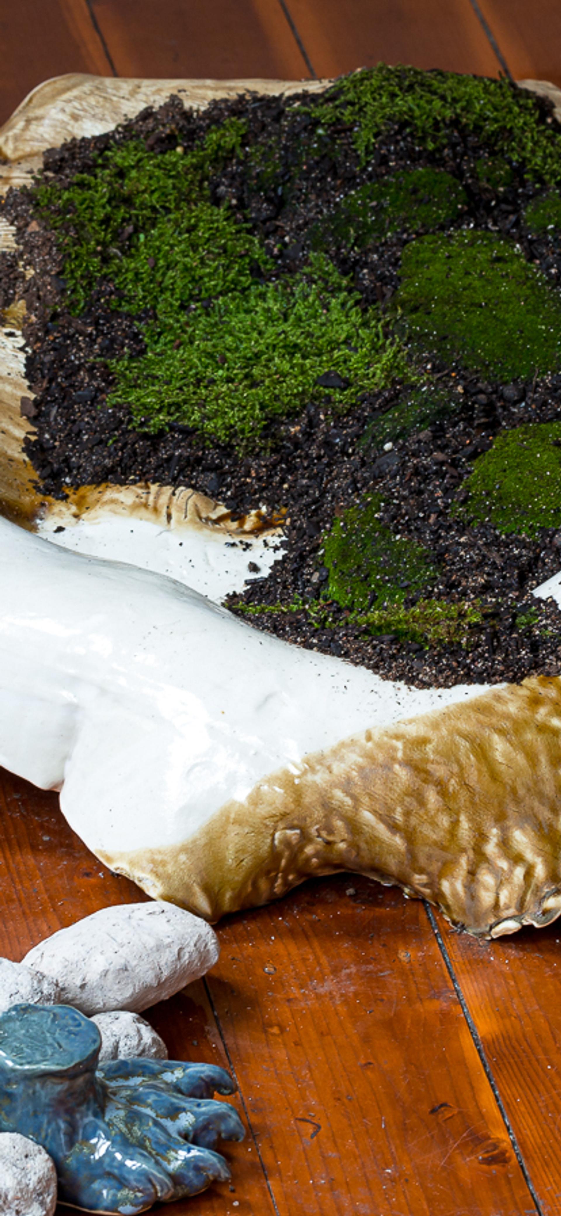 A shell like mound, of glazed raku sits on the floorboards filled with dirt and moss