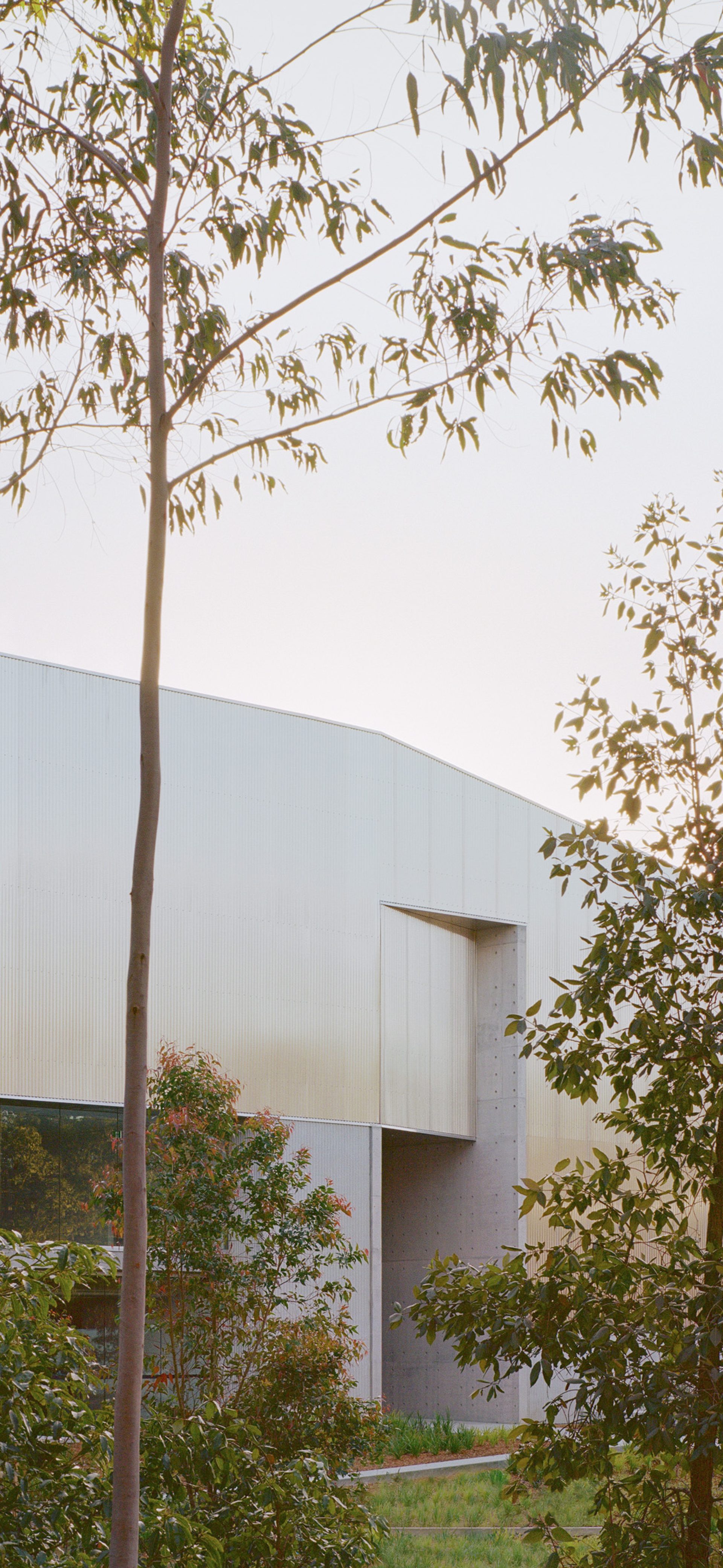 Climate Action Plan – Year two