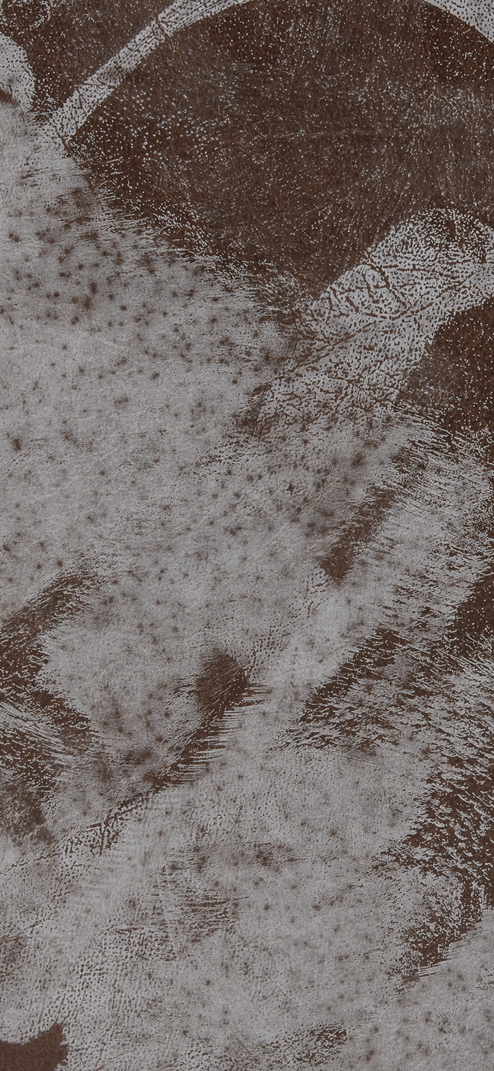 Understanding Alzheimer’s