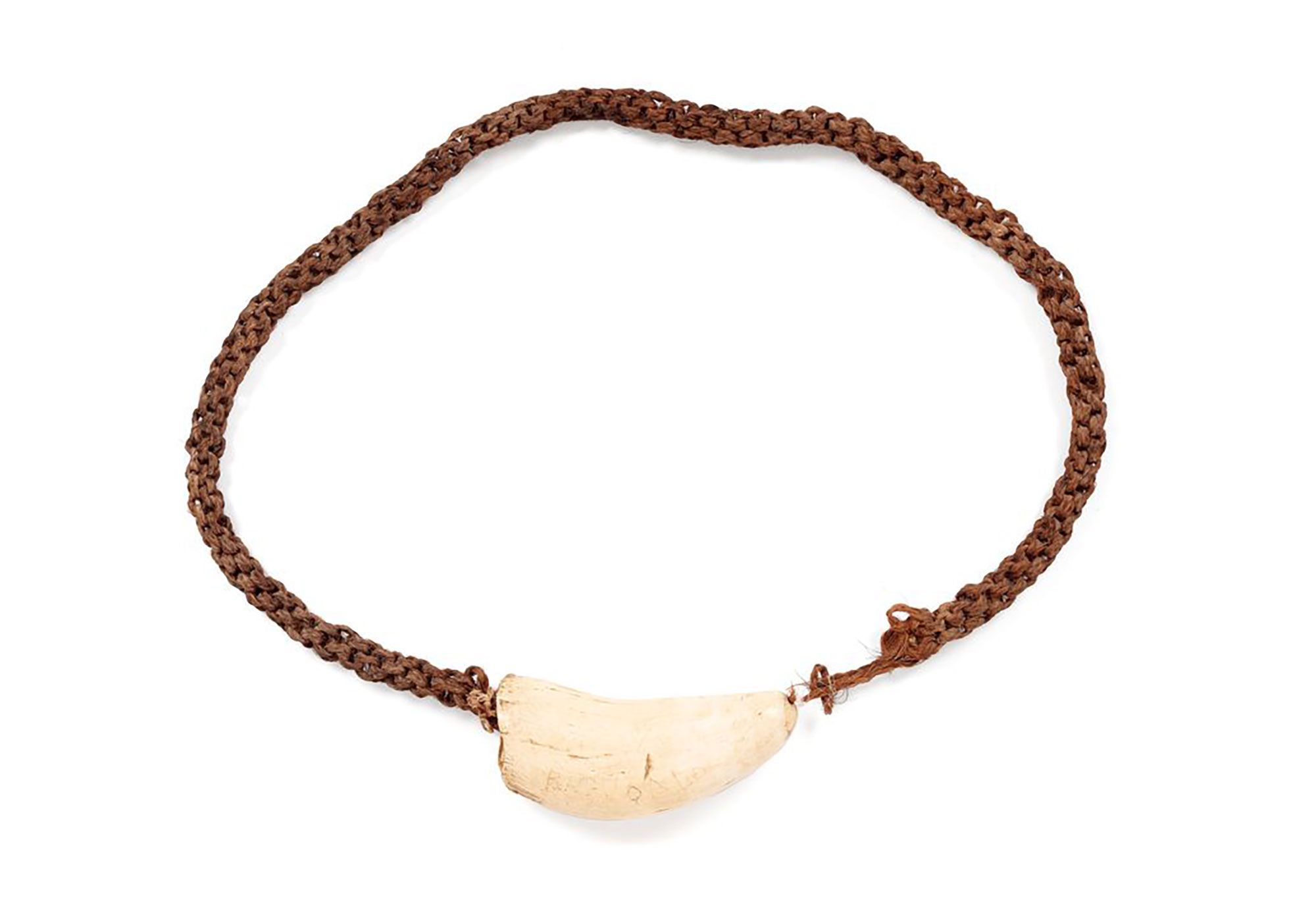 A heavy neck ornament of a large sperm whale tooth on a long platted rope made of coconut fibres.