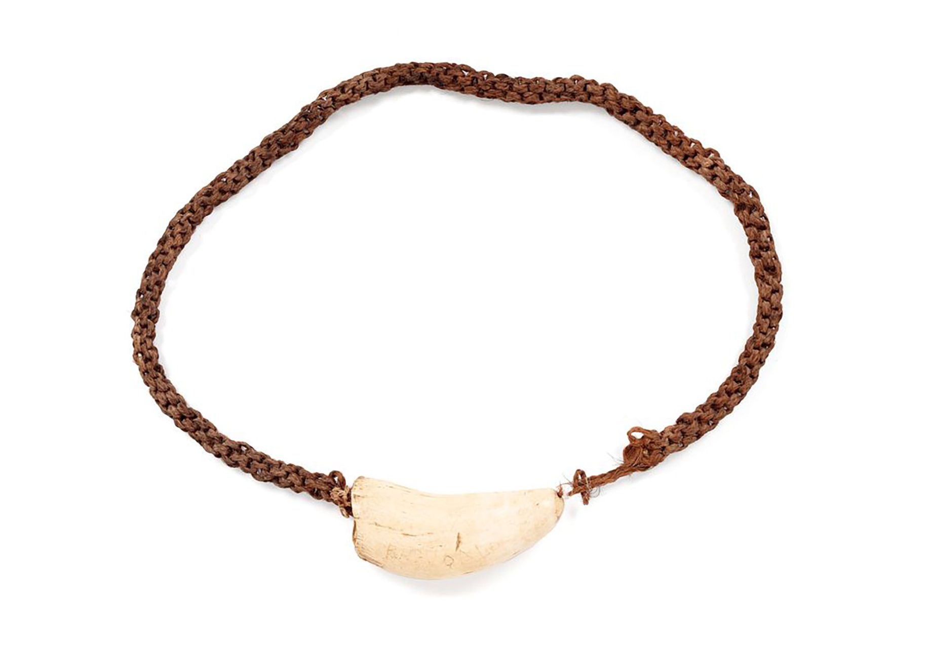 A heavy neck ornament of a large sperm whale tooth on a long platted rope made of coconut fibres.