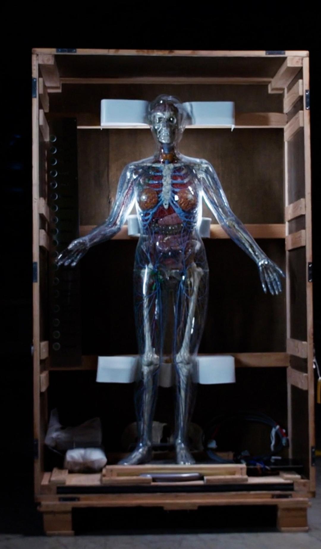 Creative Studio: AI in Medicine