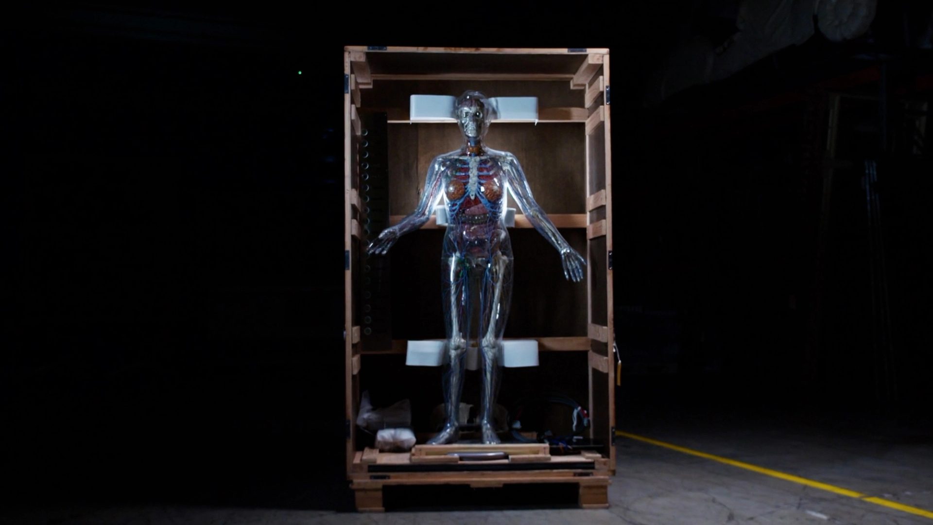 Creative Studio: AI in Medicine