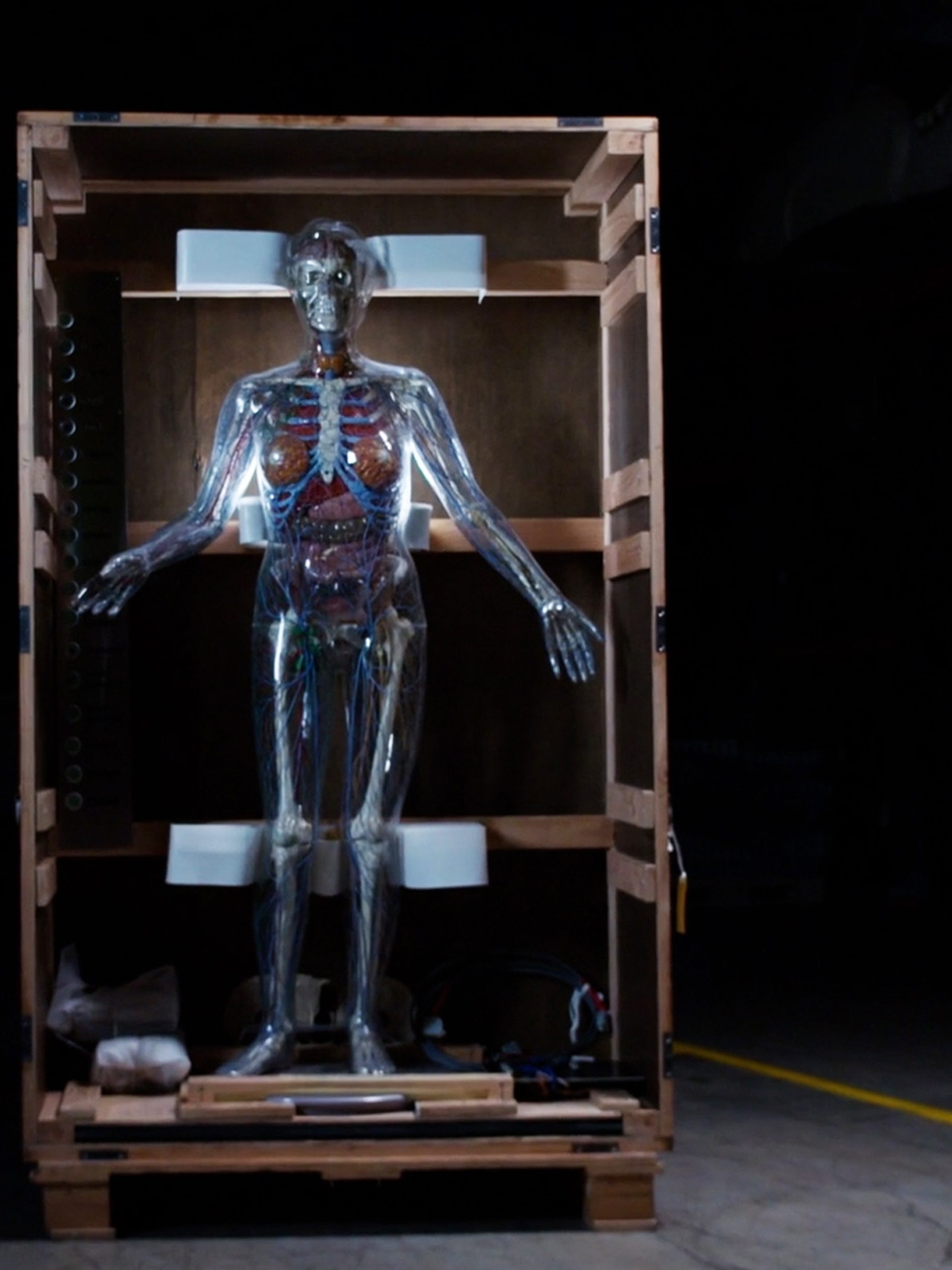 Creative Studio: AI in Medicine