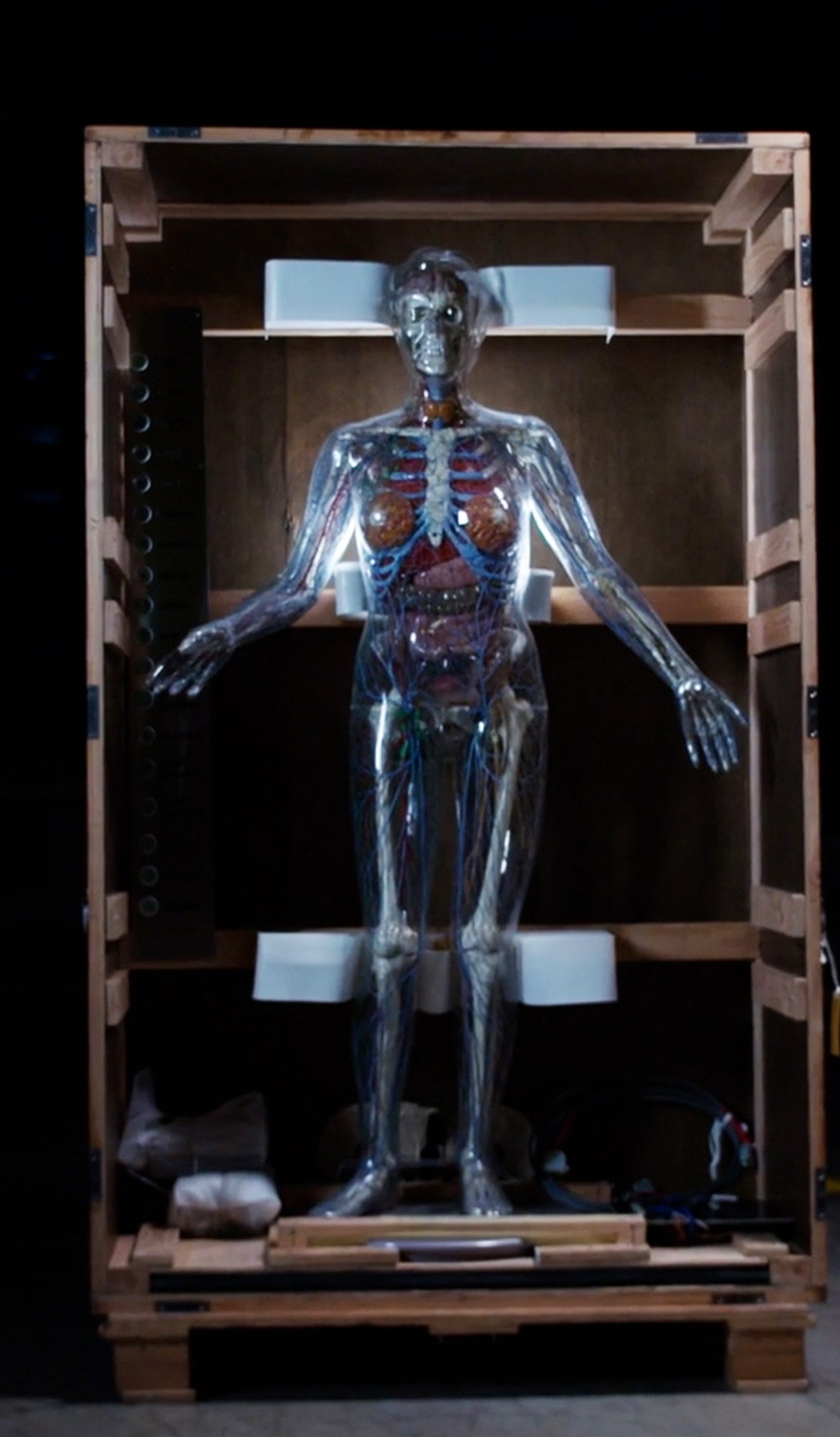 Creative Studio: AI in Medicine