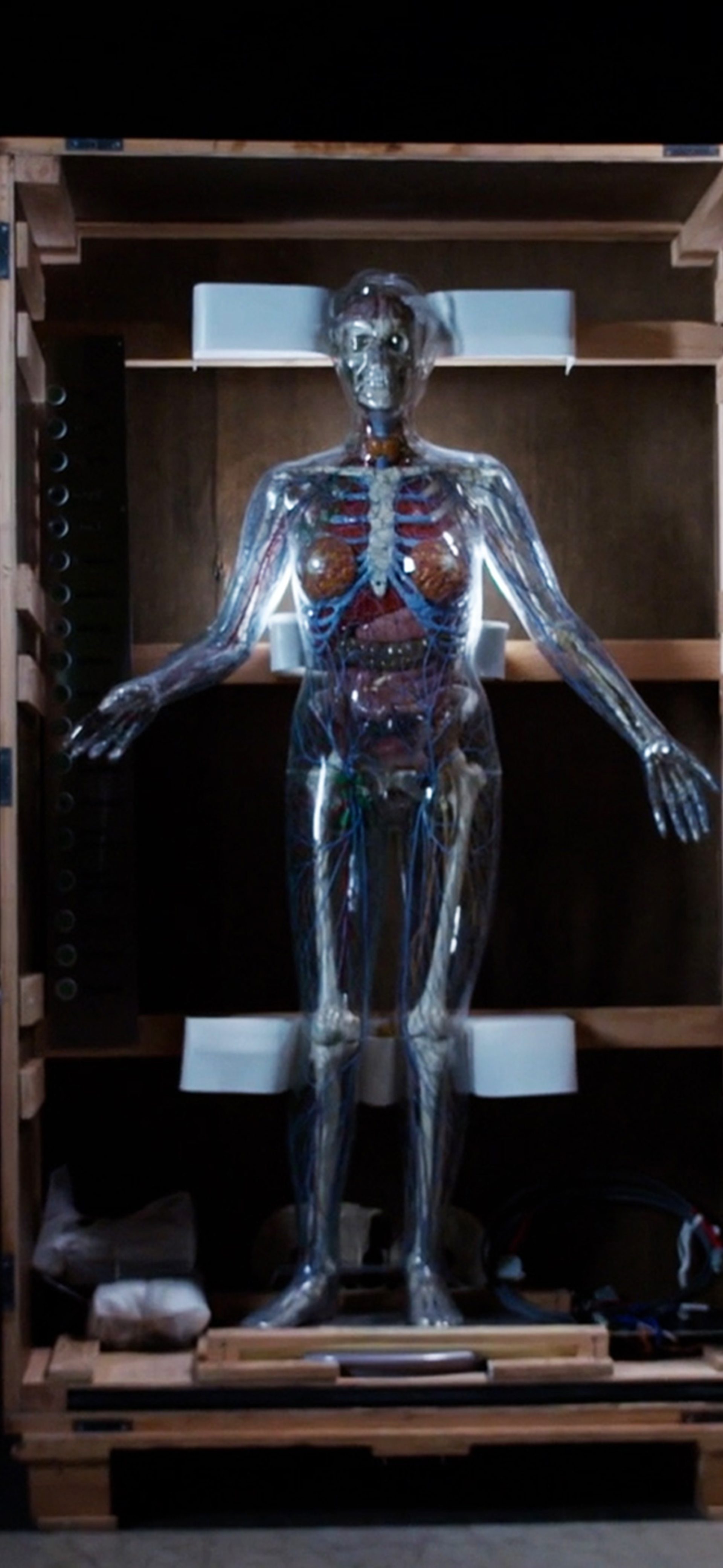 Creative Studio: AI in Medicine