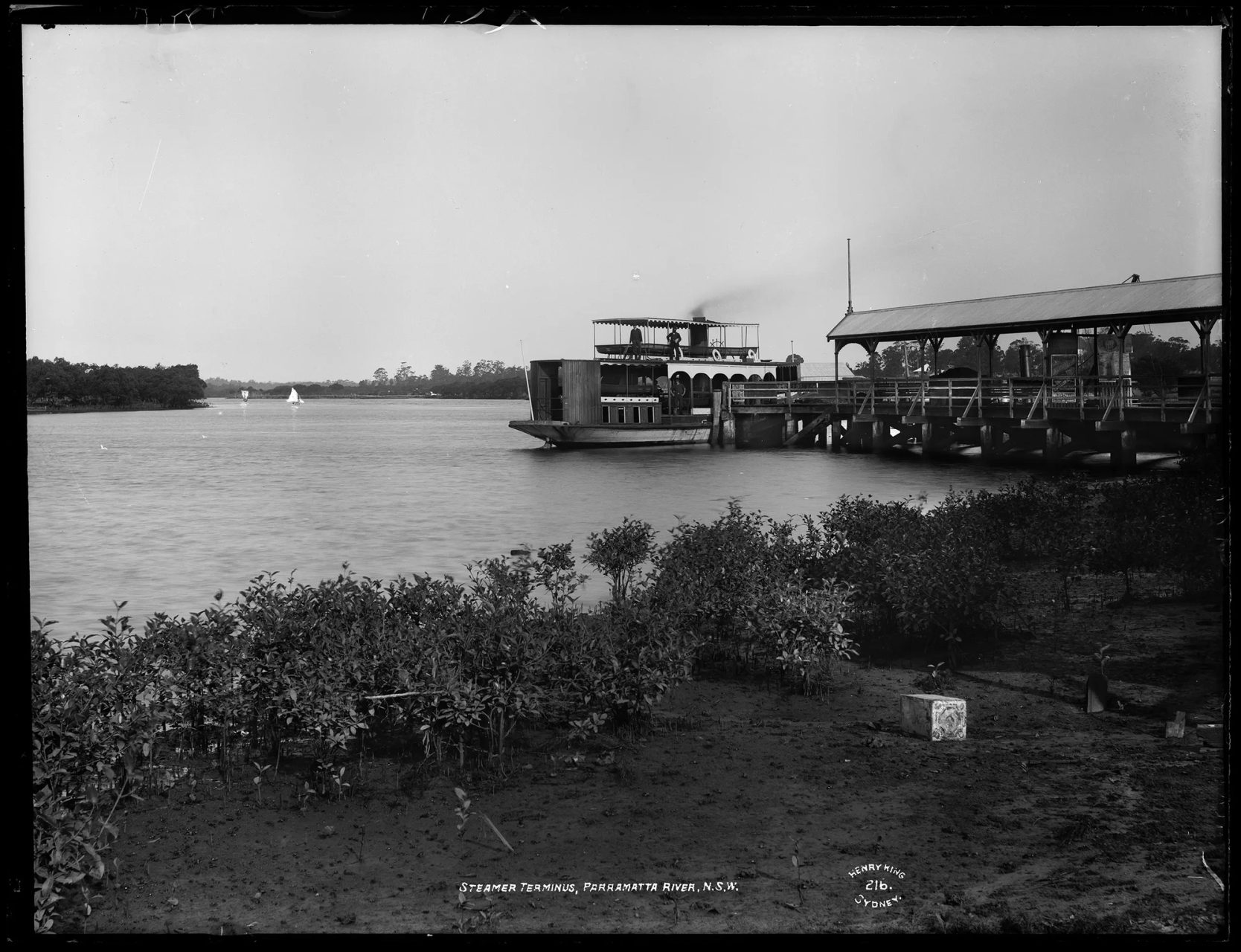 Glass negative, full plate, entitled 'Steamer Terminus, Parramatta River, N.S.W.' depicting the ferry 'Halcyon', at the Duck Creek - Parramatta River tram and ferry terminus, Henry King, Sydney, Australia.