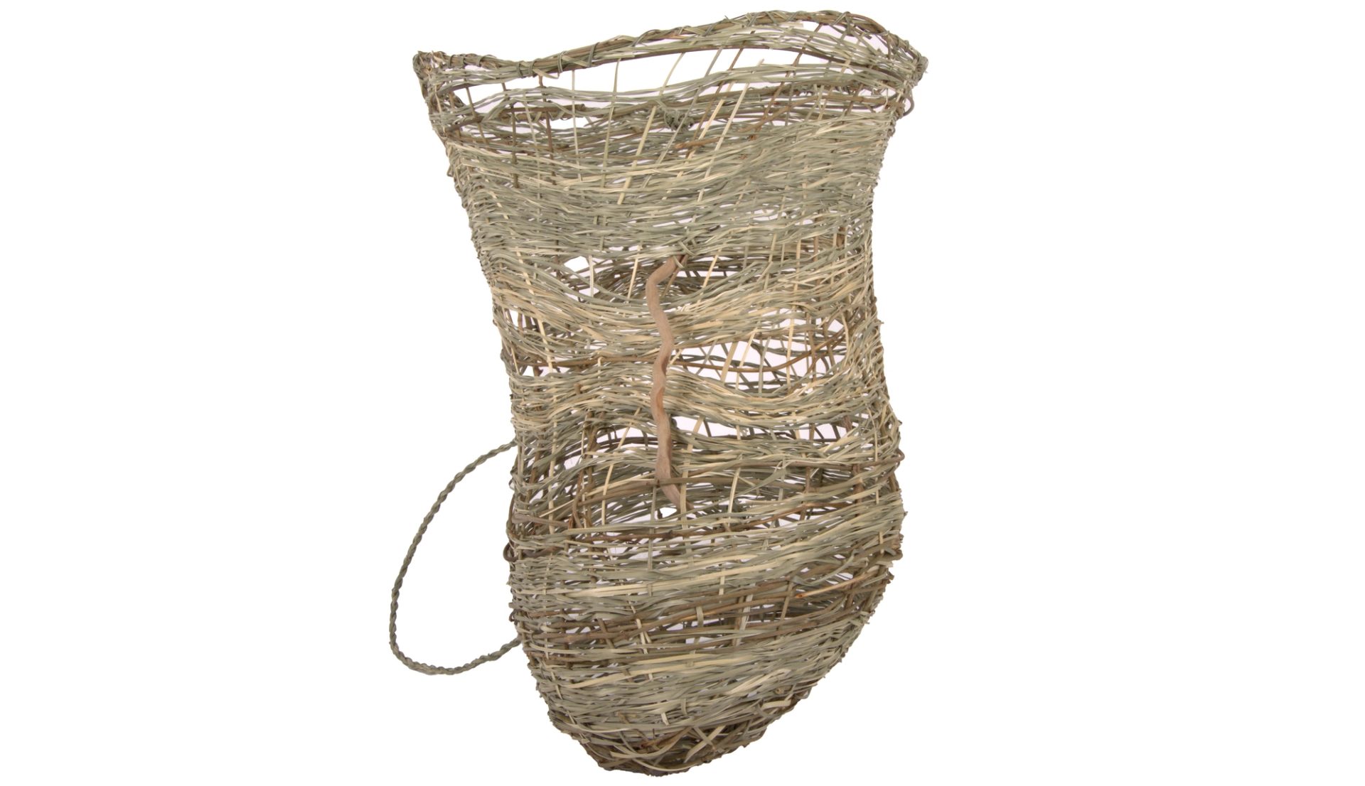 A woven fish trap made from invasive vine and native Lomandra.
