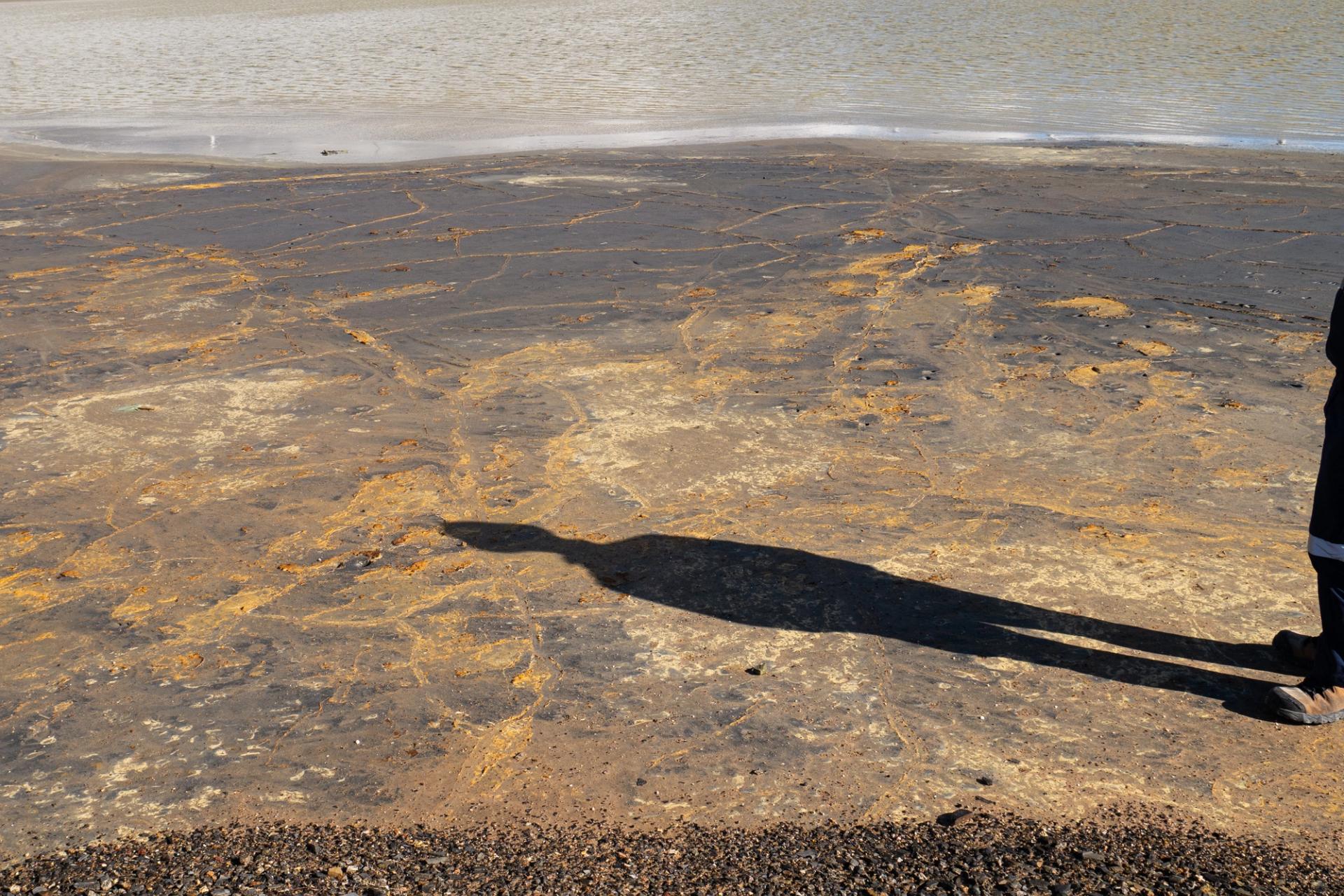 Shadow of a human on copper coloured land next to still water