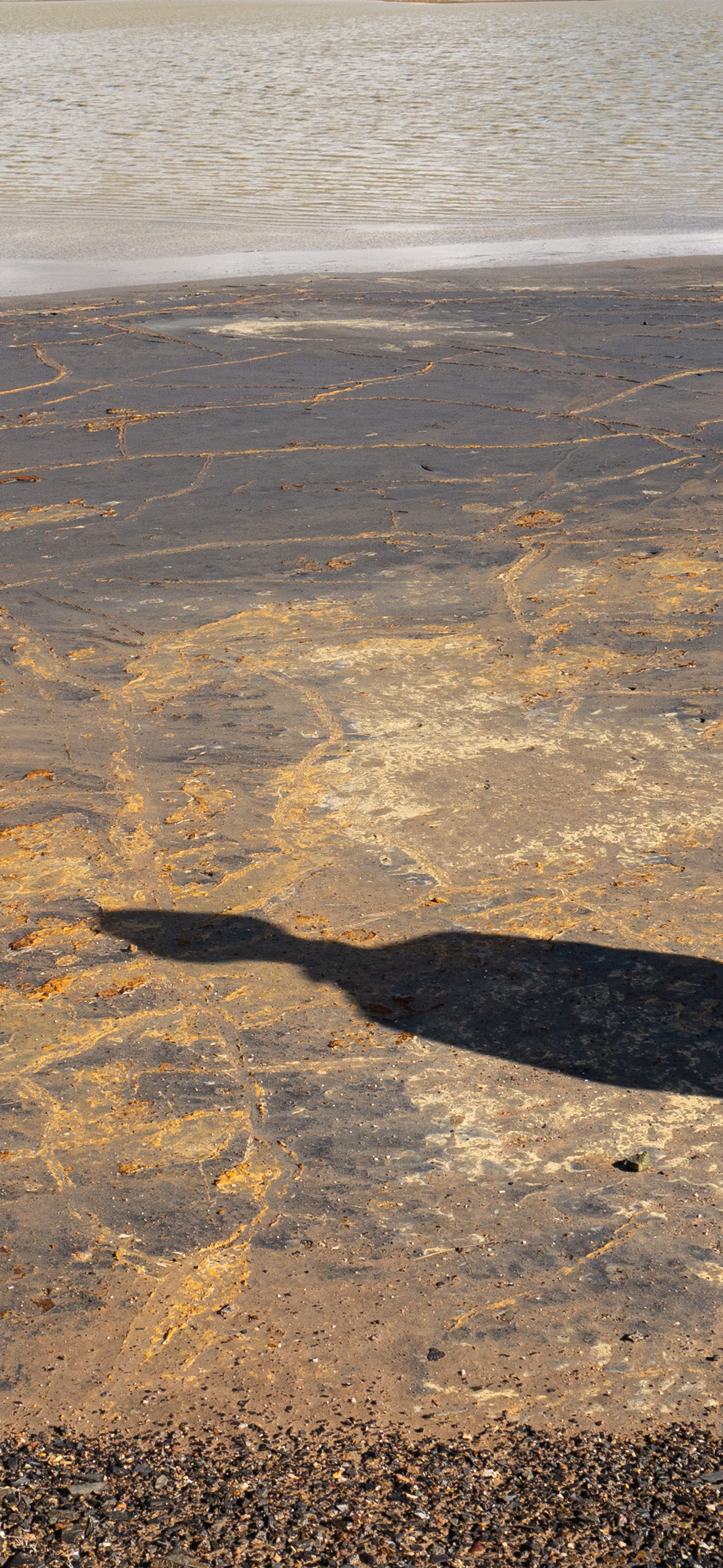 Shadow of a human on copper coloured land next to still water