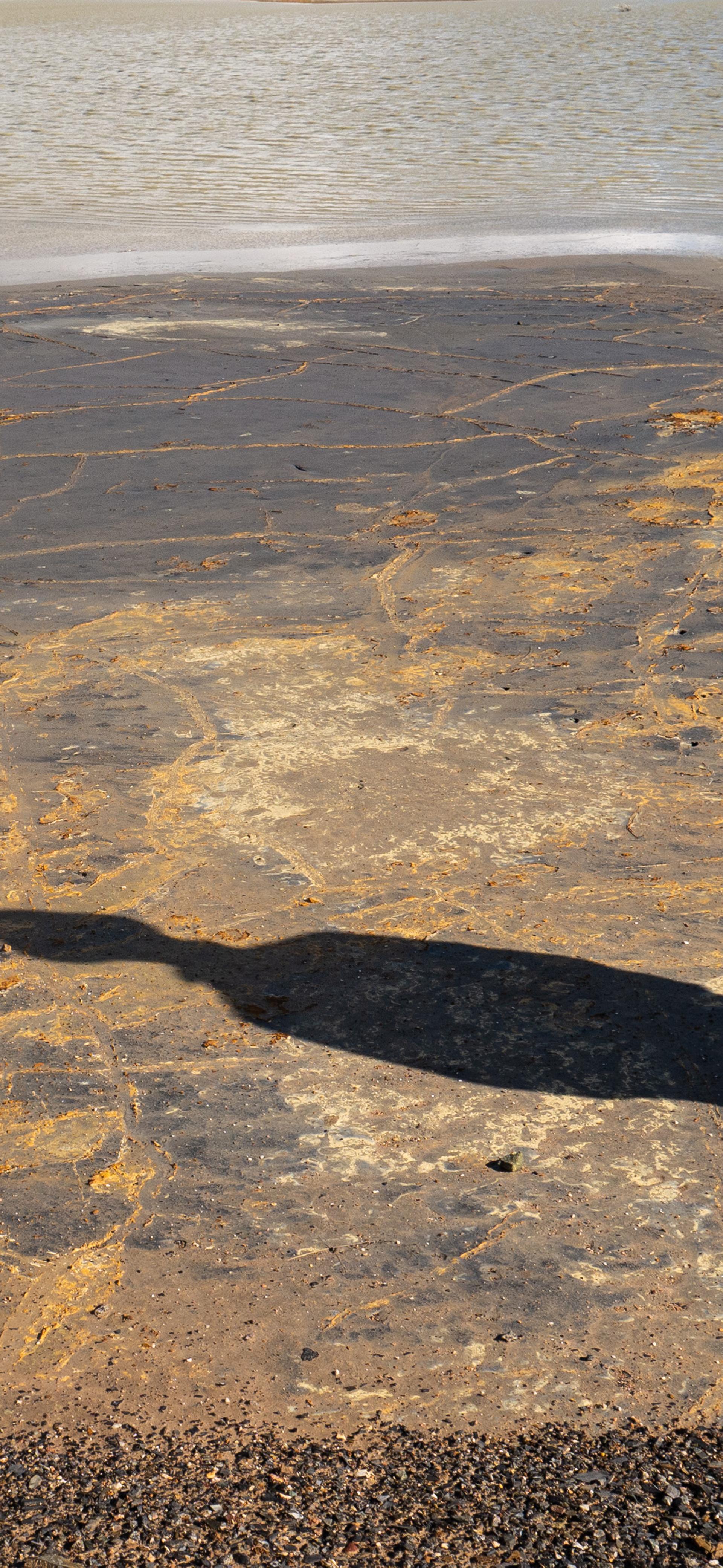 Shadow of a human on copper coloured land next to still water