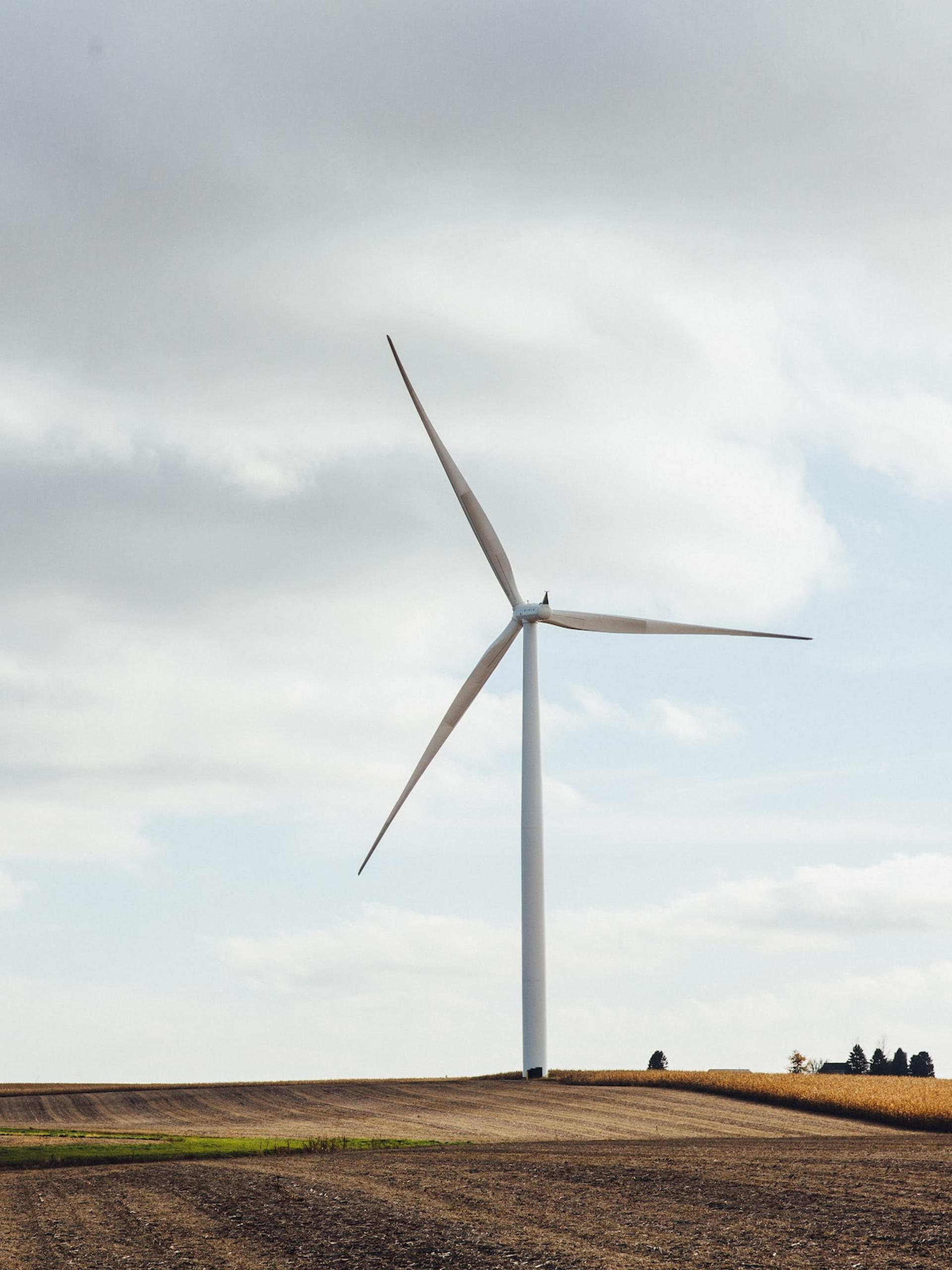 Two wind turbines in a field