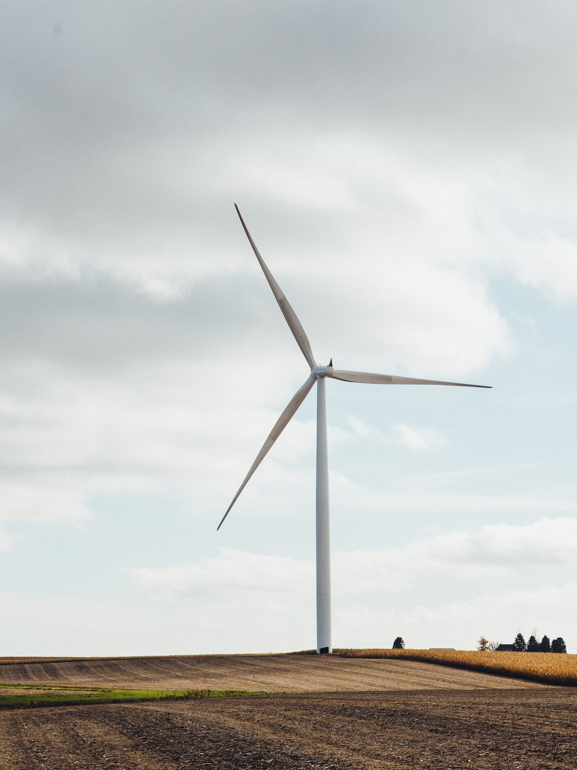 Two wind turbines in a field
