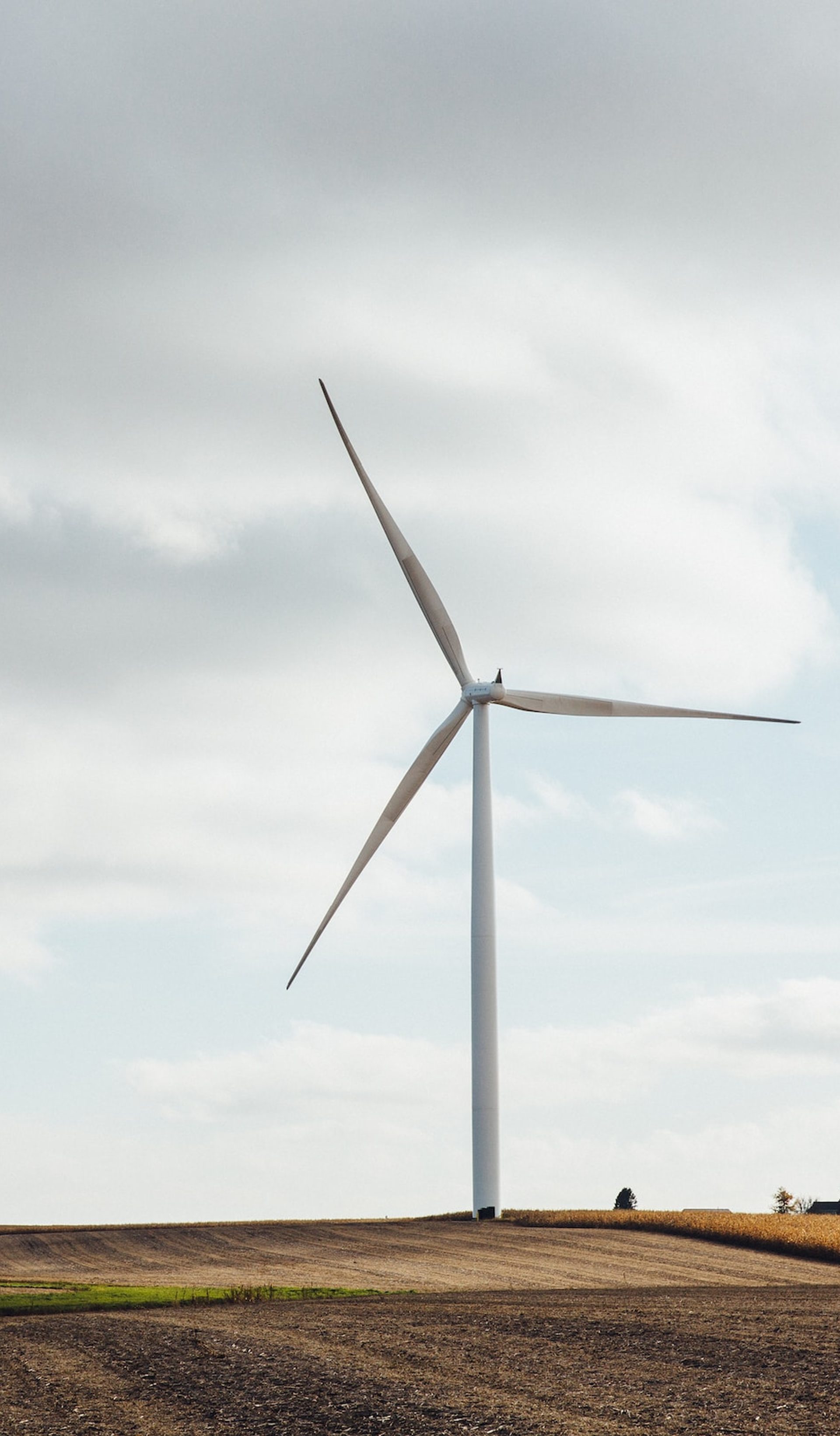 Two wind turbines in a field