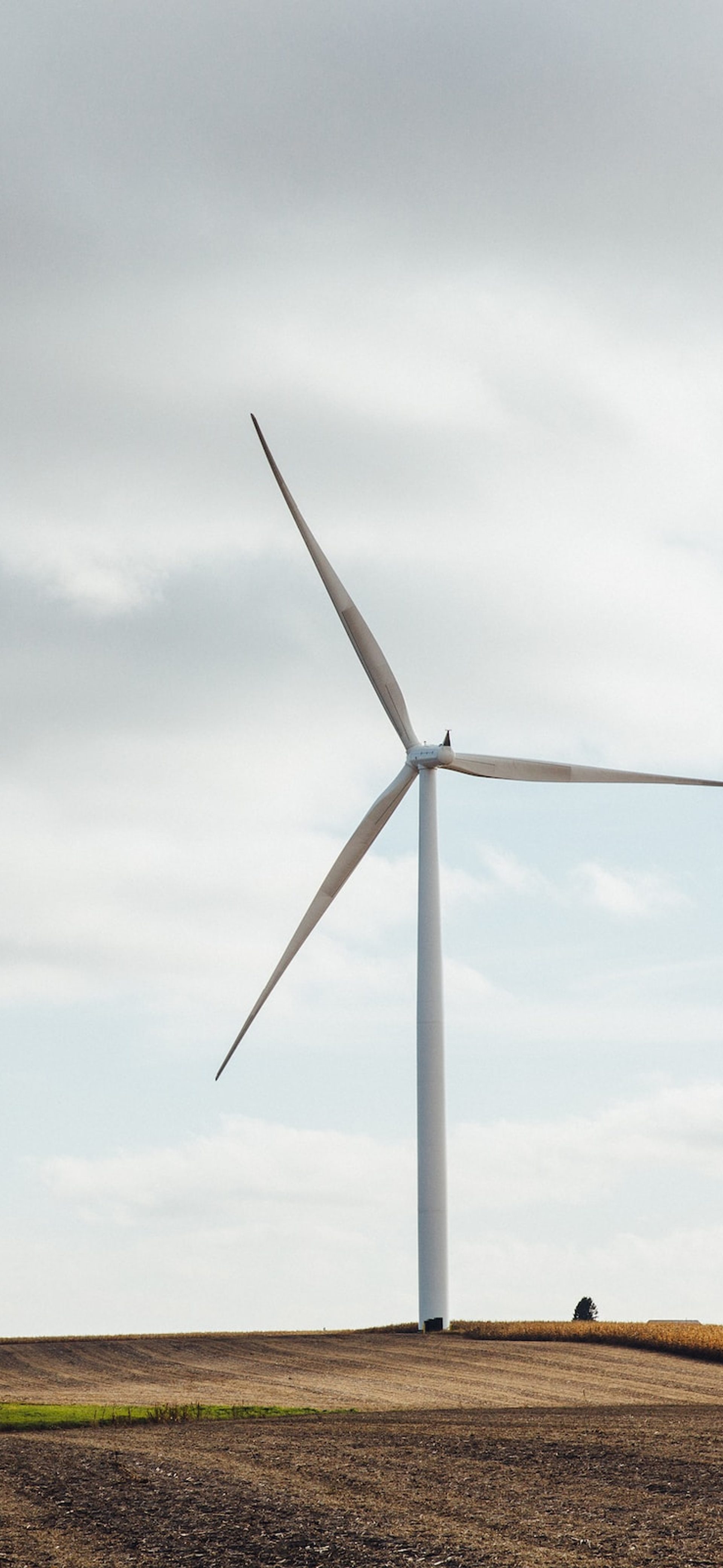 100 Climate Conversations: Heidi Lee Beyond Zero Emissions