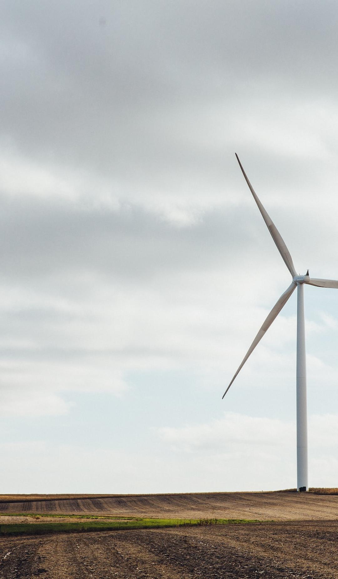 Two wind turbines in a field