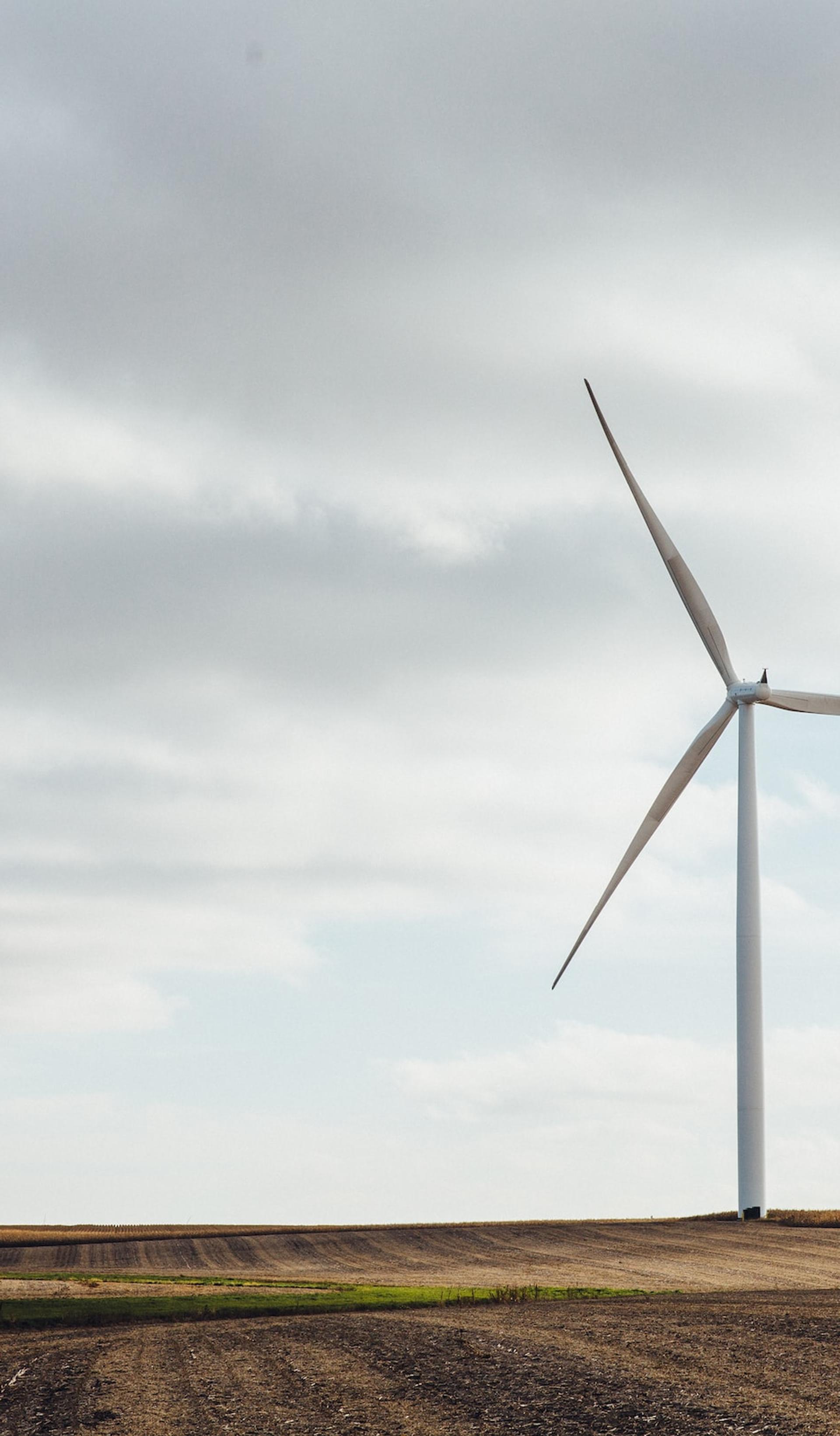 Two wind turbines in a field