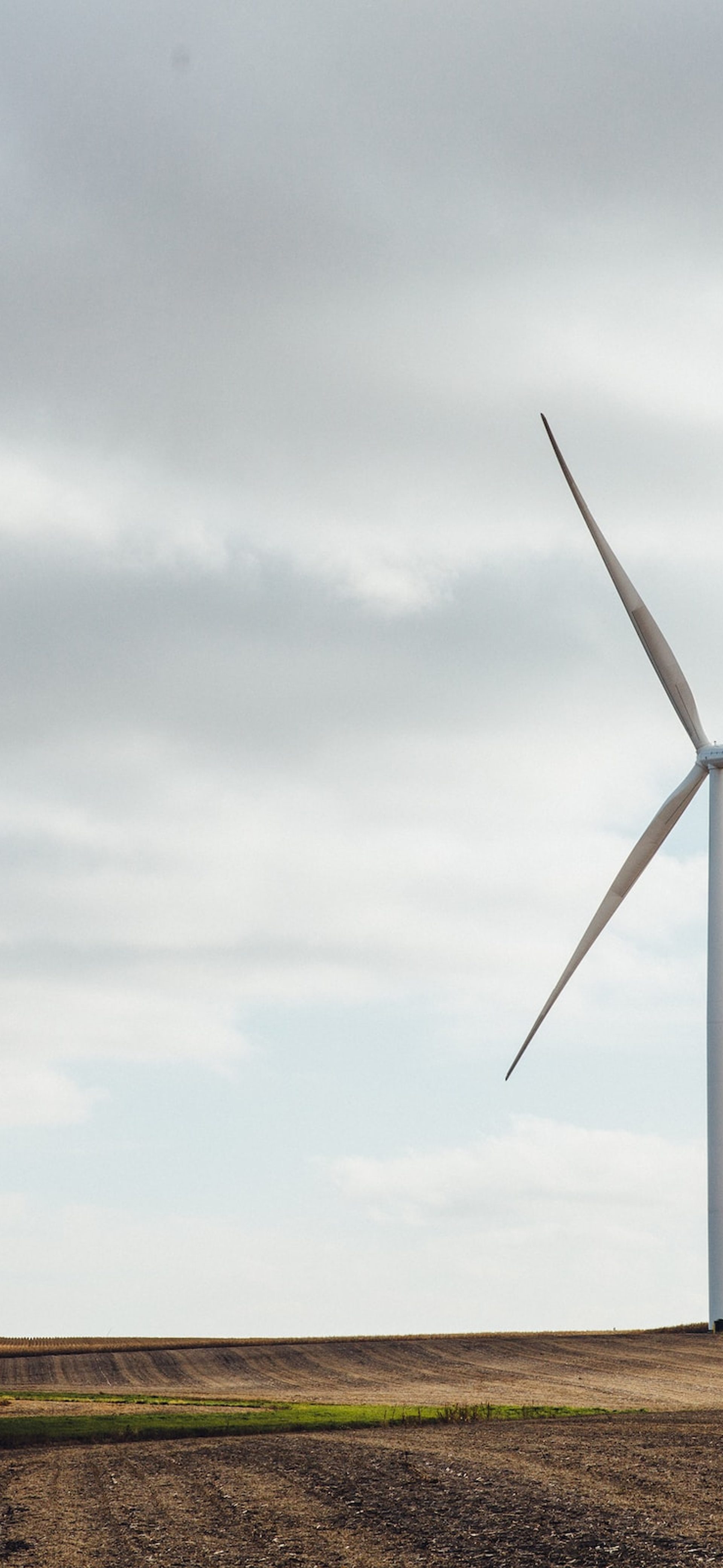 100 Climate Conversations: Heidi Lee Beyond Zero Emissions