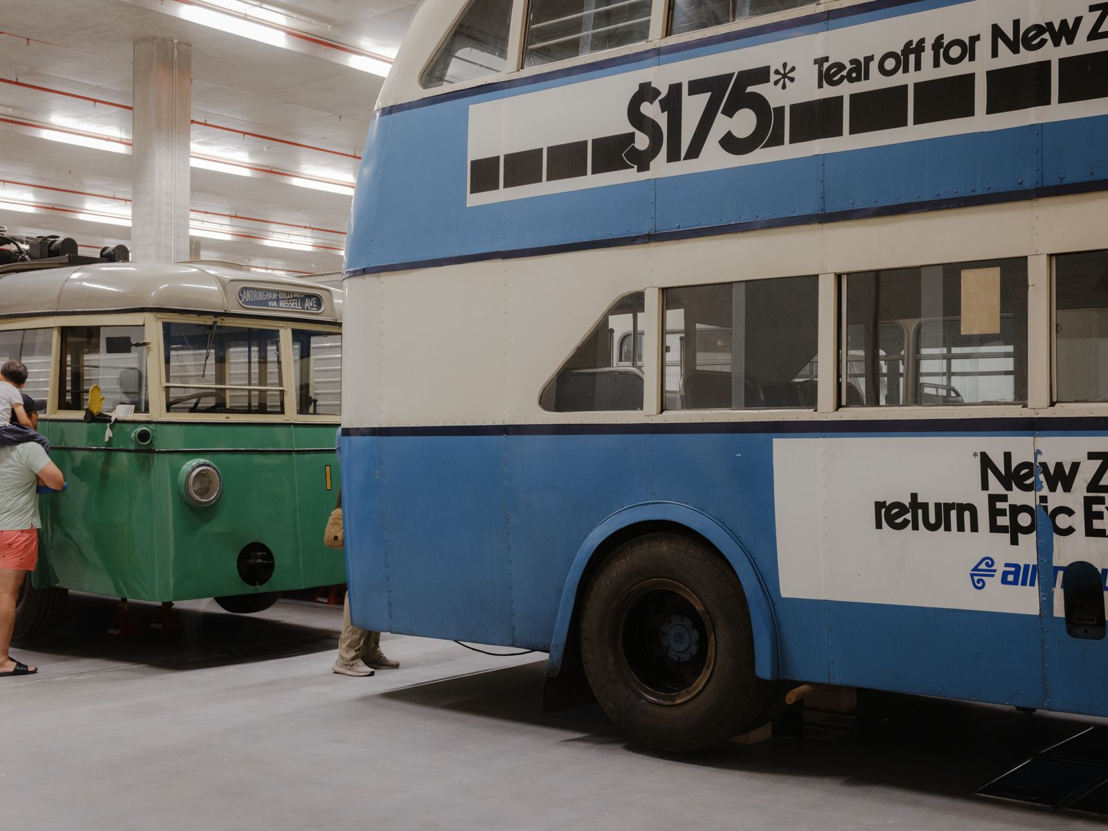 Collection on Display