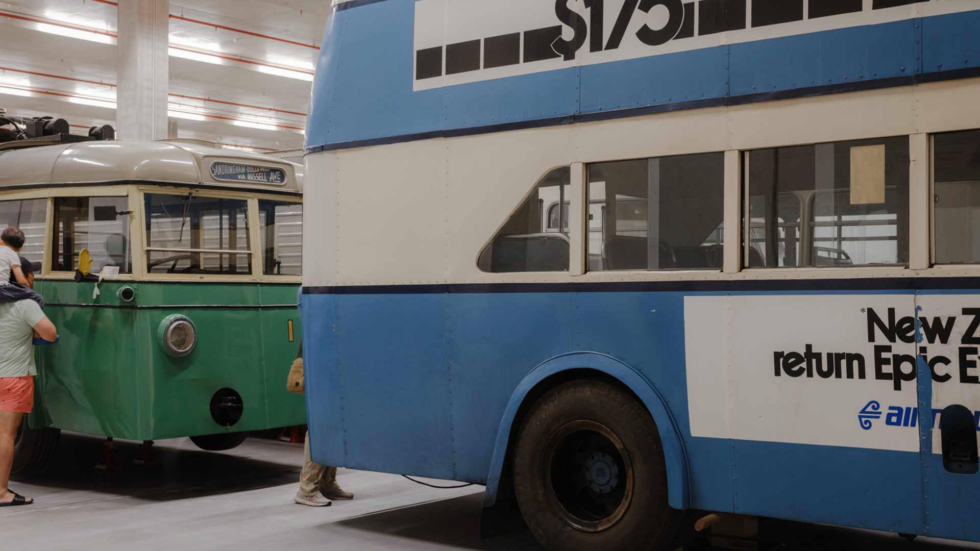 Collection on Display