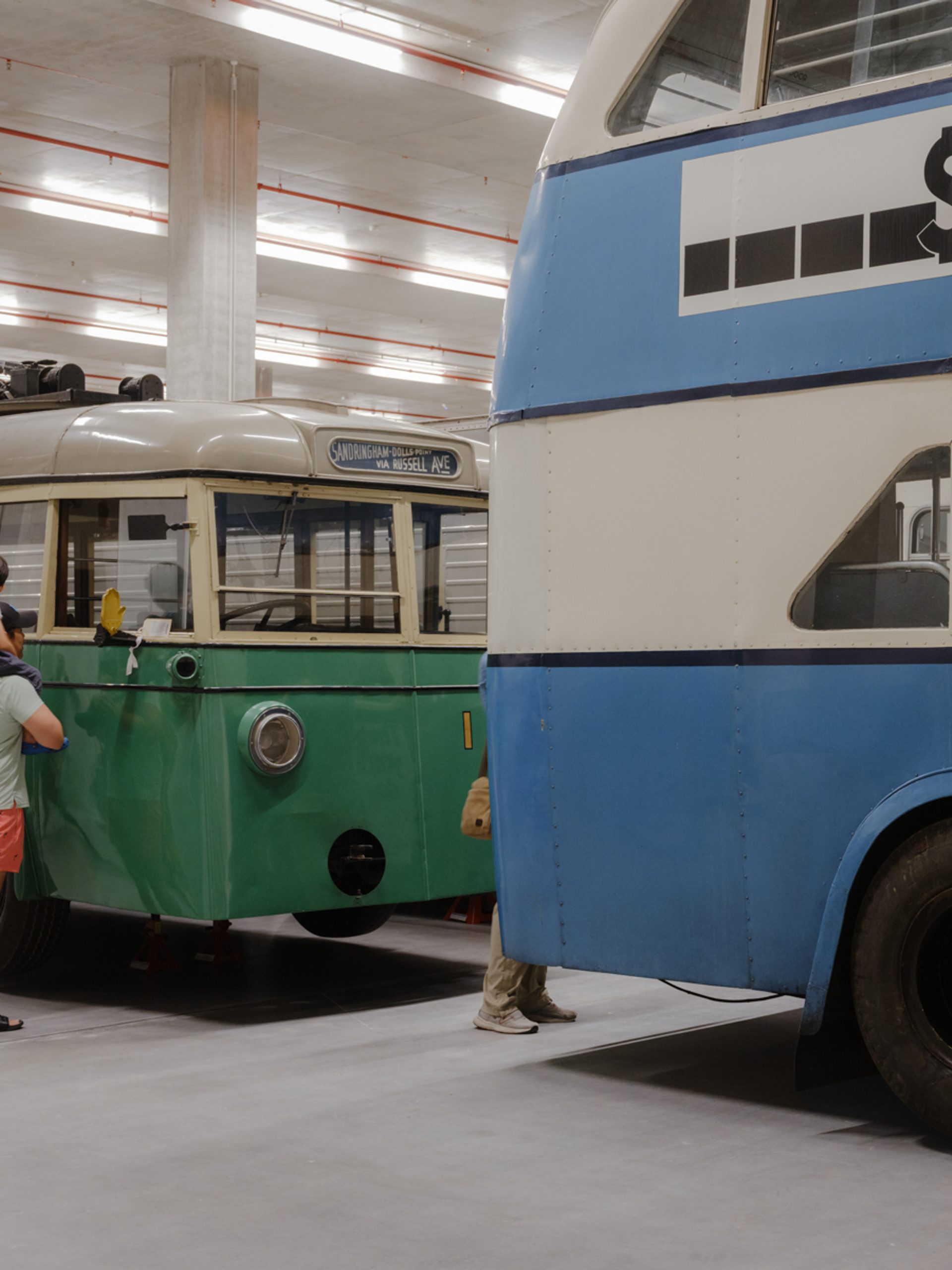 Collection on Display