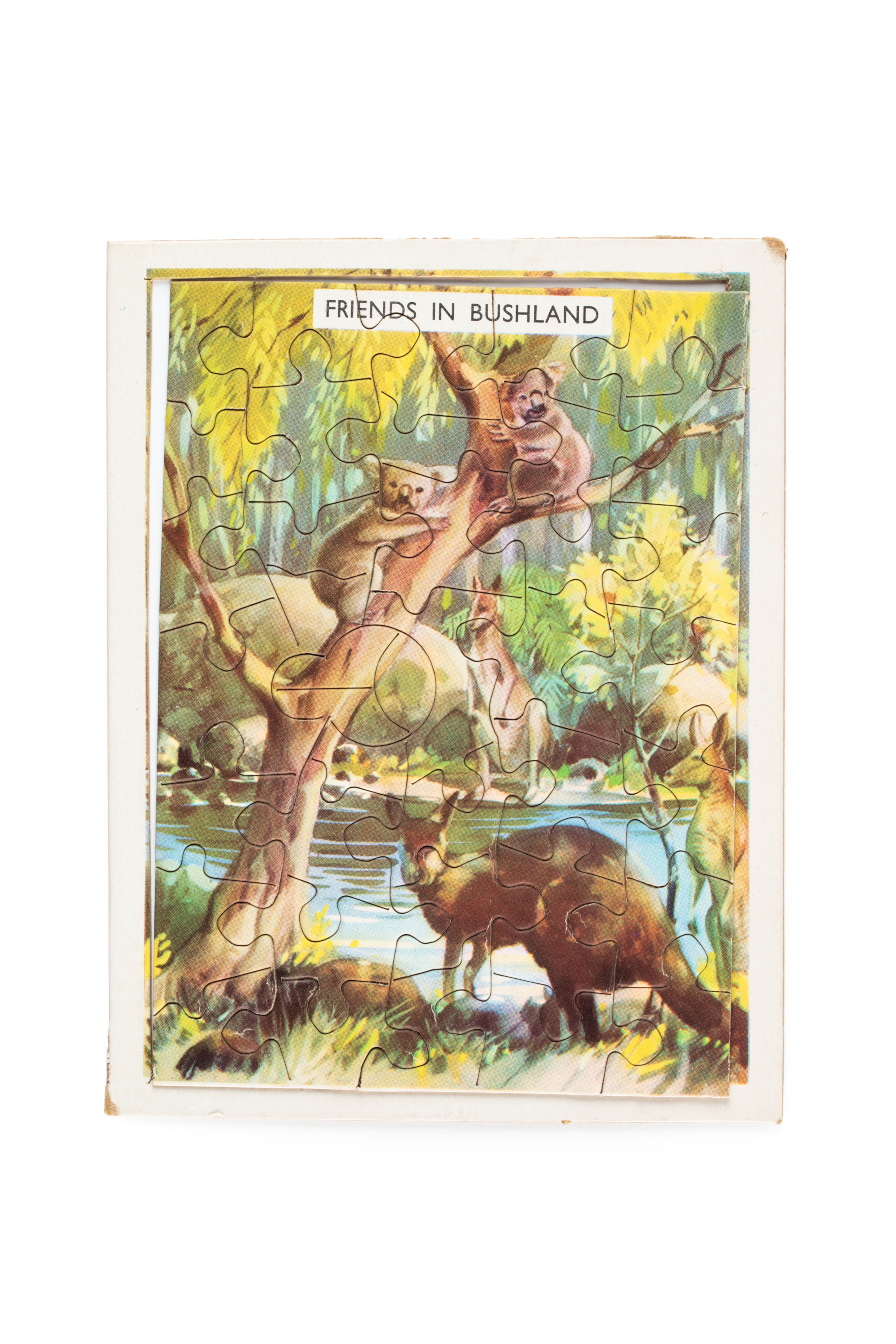 Jigsaw puzzle of printed paper stuck to thin cardboard. The puzzle is intact and has 39 interlocking pieces. It depicts an Australian Bushland scene with Australian animals and the text on the top of the card reads 'FRIENDS IN BUSHLAND.'