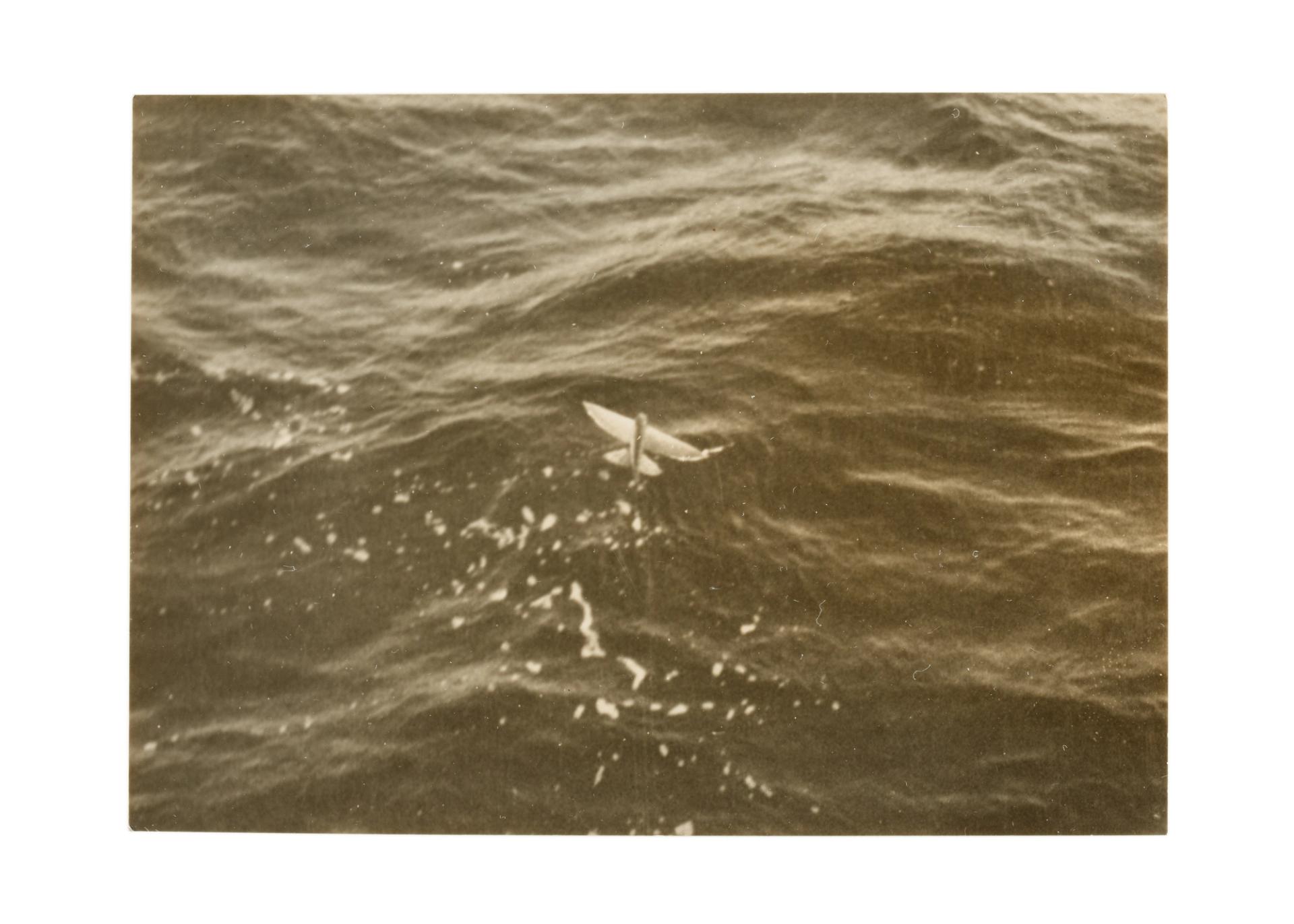 Historic black-and-white photograph of a winged creature or bird hovering over the surface of a dark and foaming ocean with gently undulating waves.