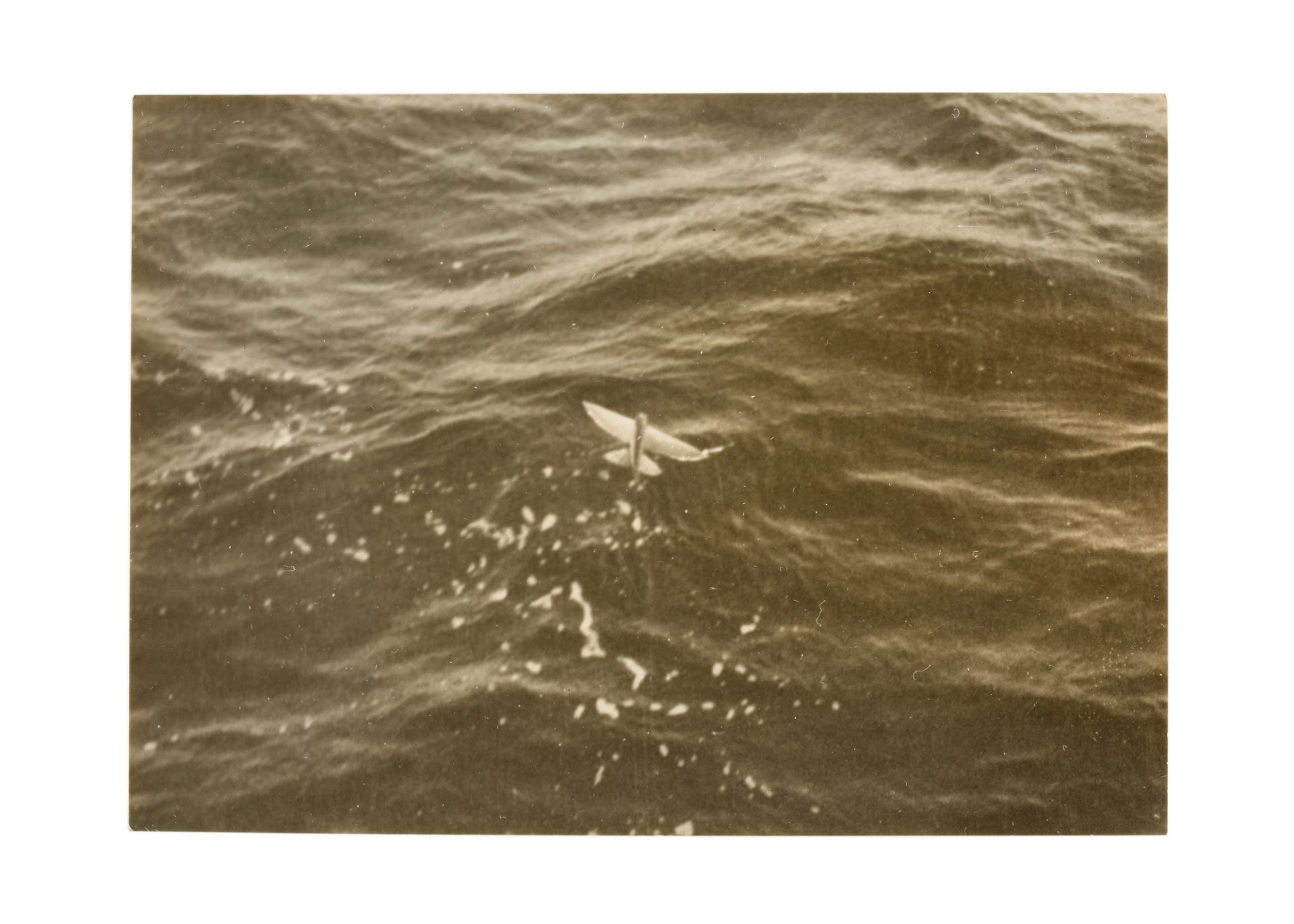 Historic black-and-white photograph of a winged creature or bird hovering over the surface of a dark and foaming ocean with gently undulating waves.