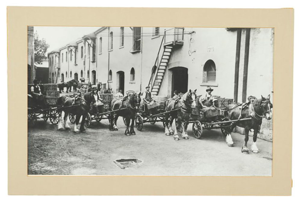 Brewery Draught Horses.