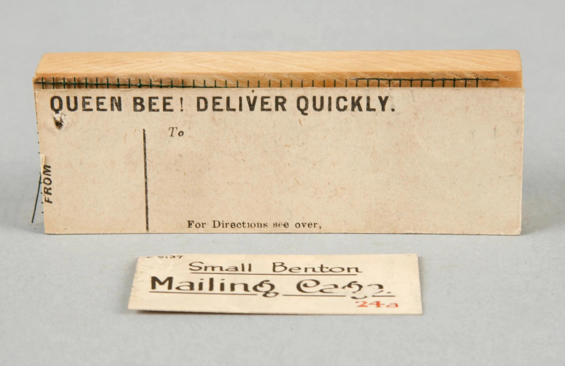 A rectangular wooden bee mailing cage.