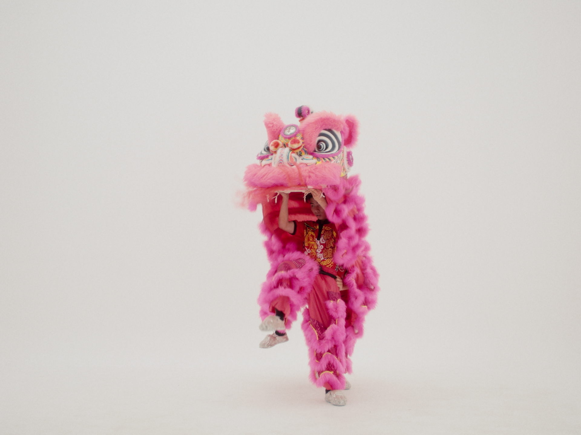 Pink Lion Dancer